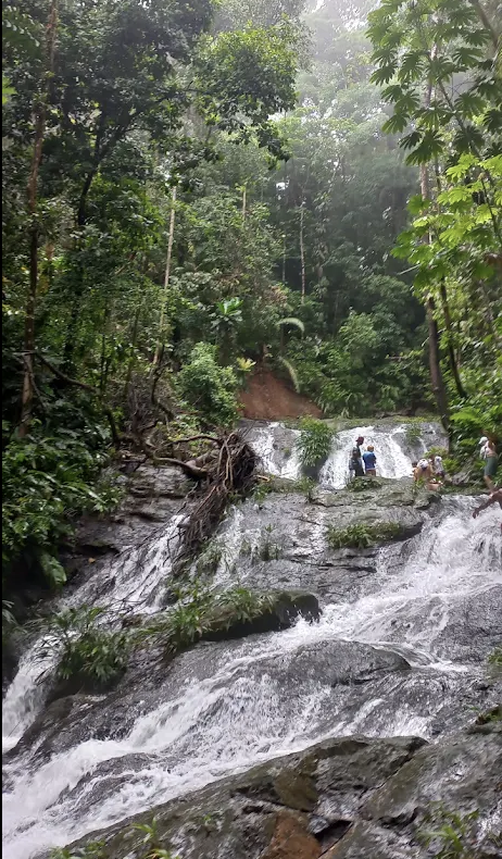 Cascada el tigre tiger waterfall ecotourpsuravida nature tours colombia choco.png