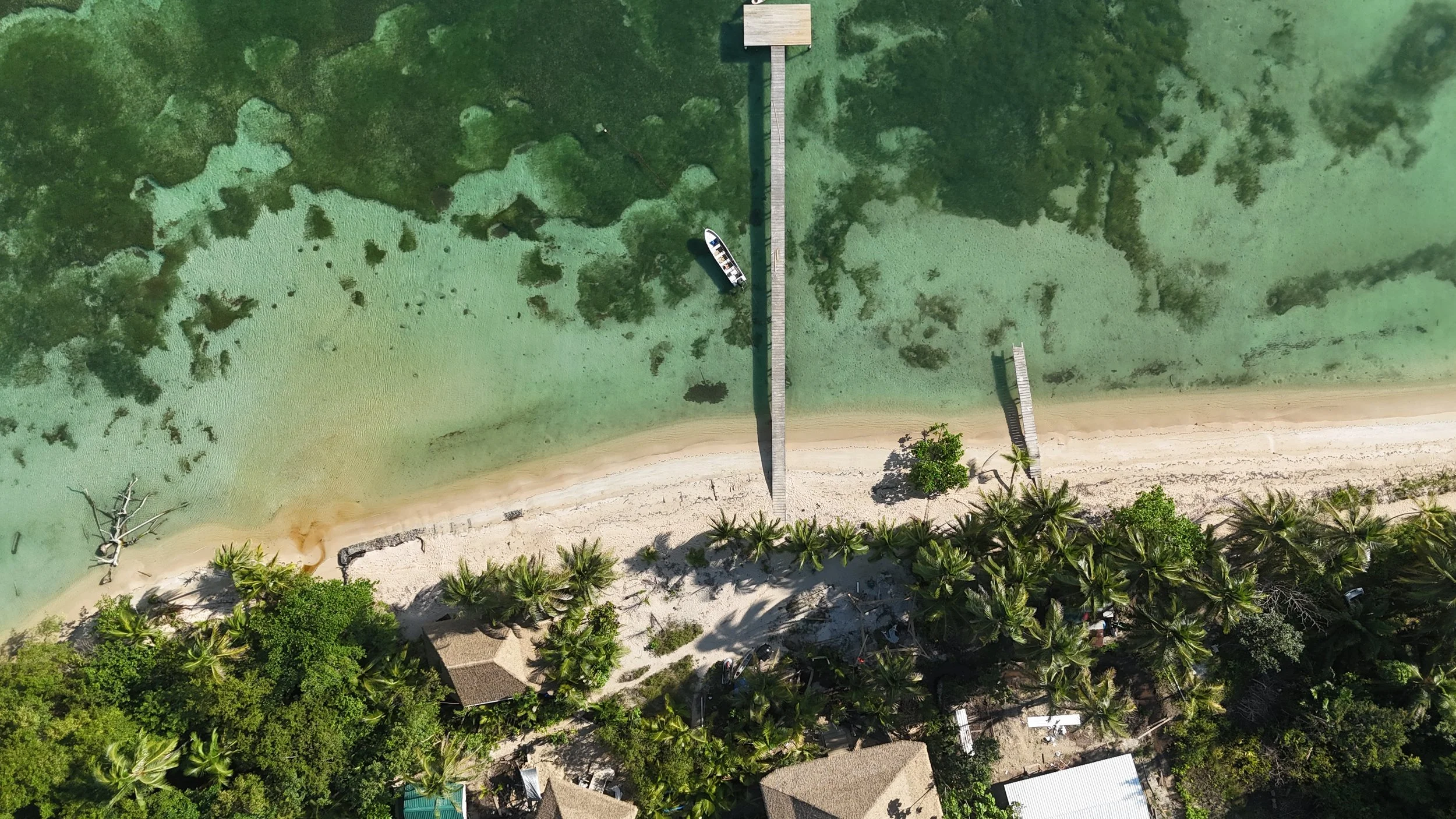 DJI_20260923171927_0021_D.JPG