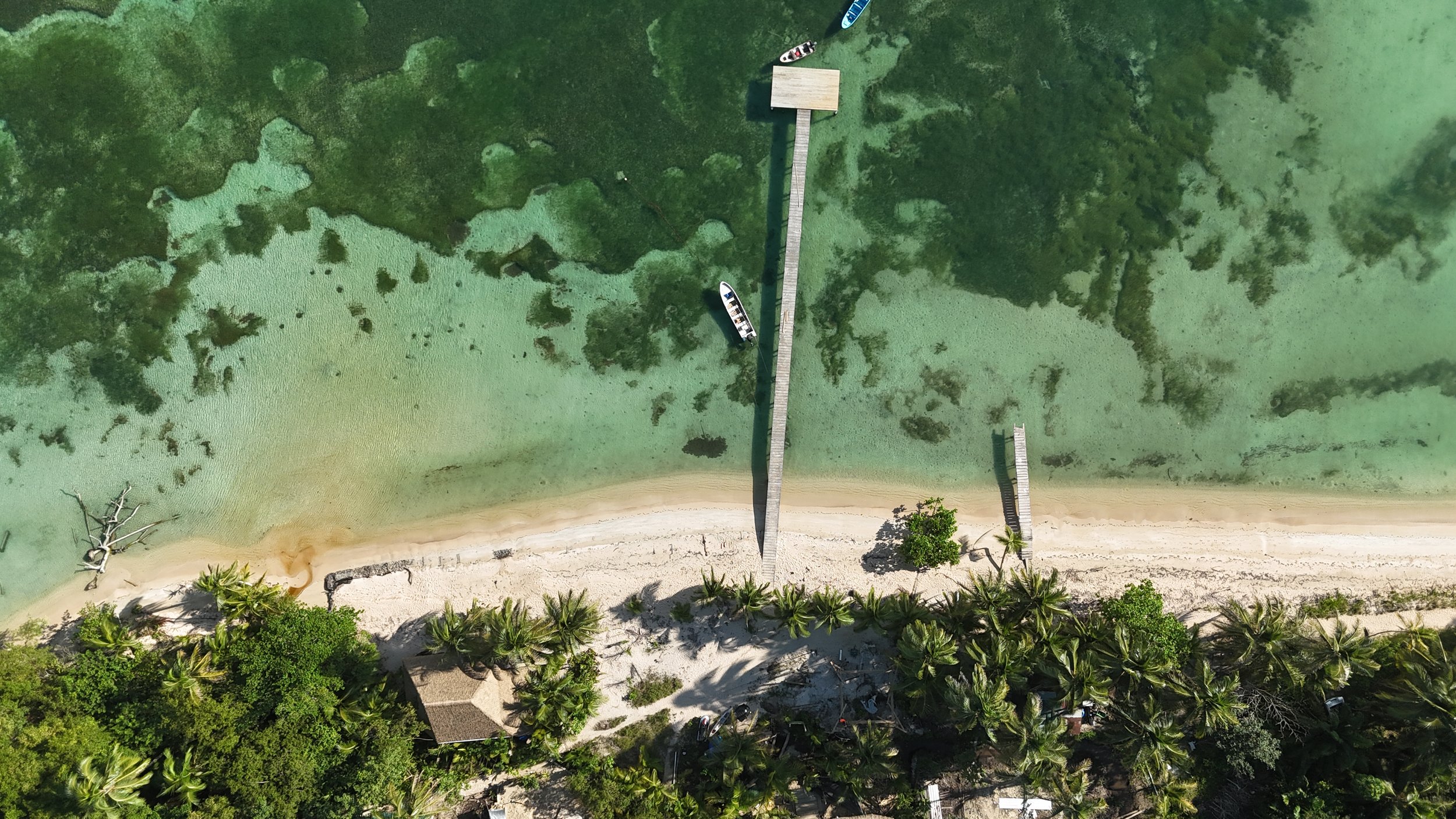 DJI_20260923171934_0022_D.JPG