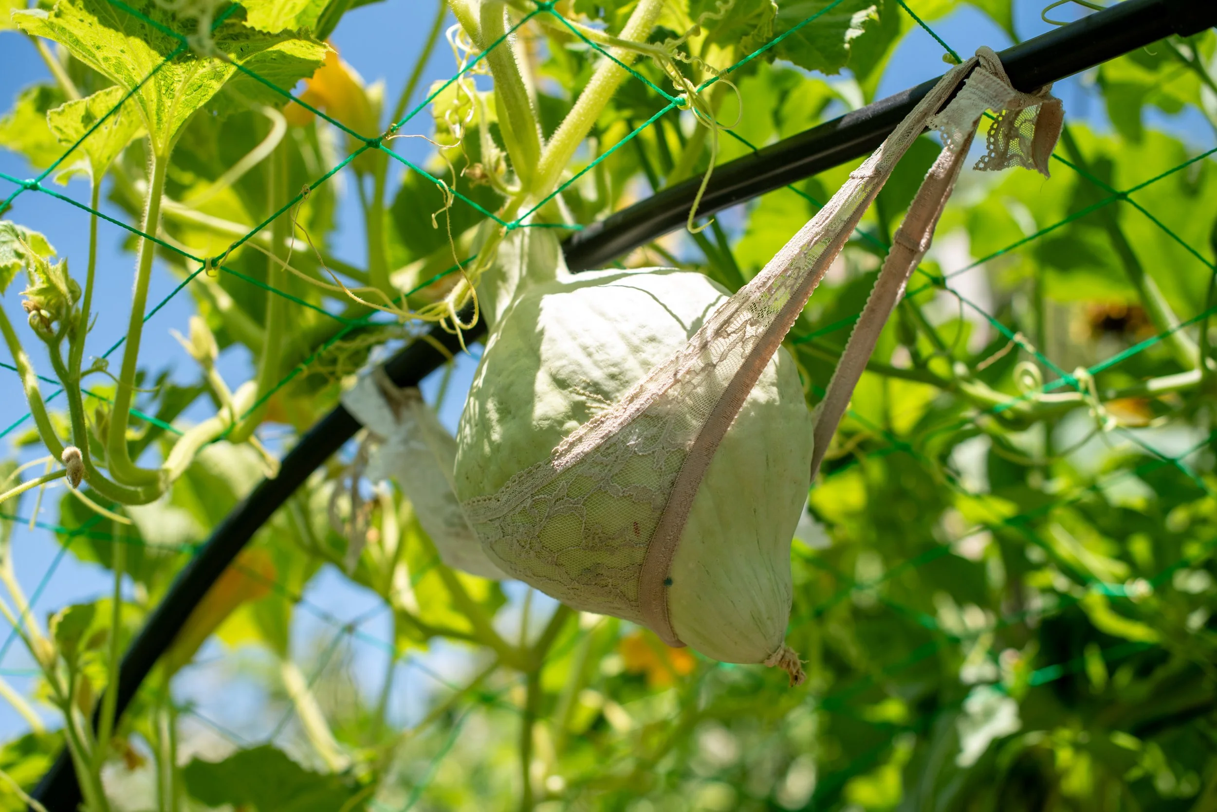 WAPO_GARDENING-DISABILITY_054.JPG