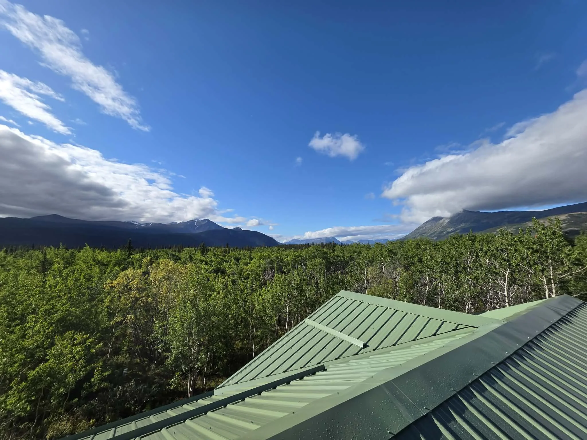 Brand new roof on a house in Carcross