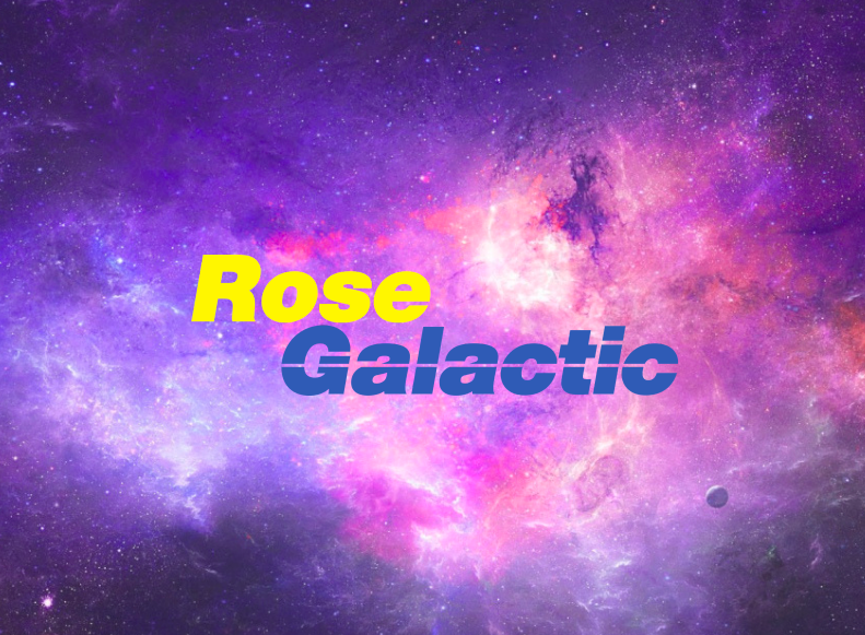 Screen Shot 2023-12-11 at 11.08.50 AM.png