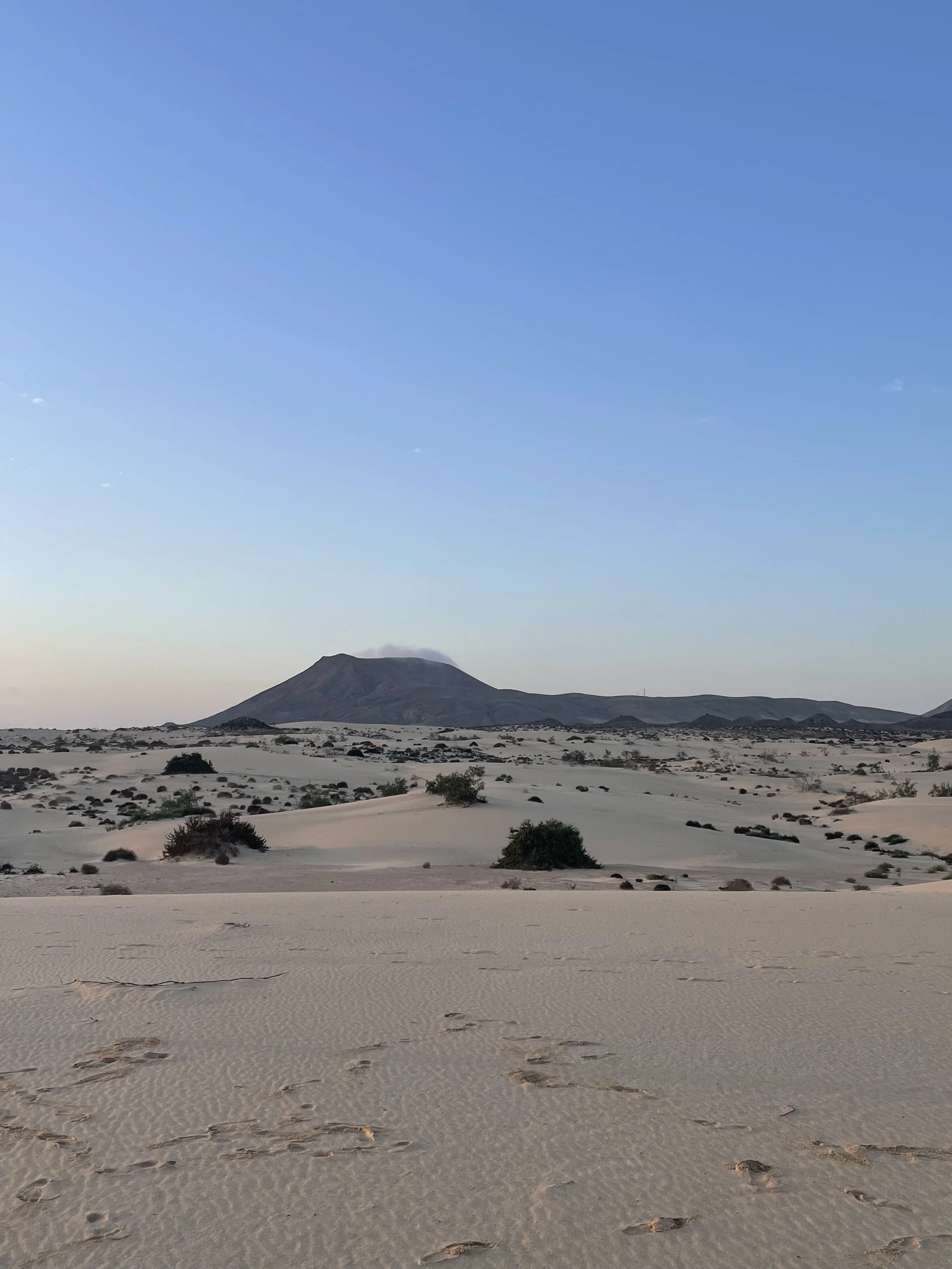 Découvrir la Kinésiologie
