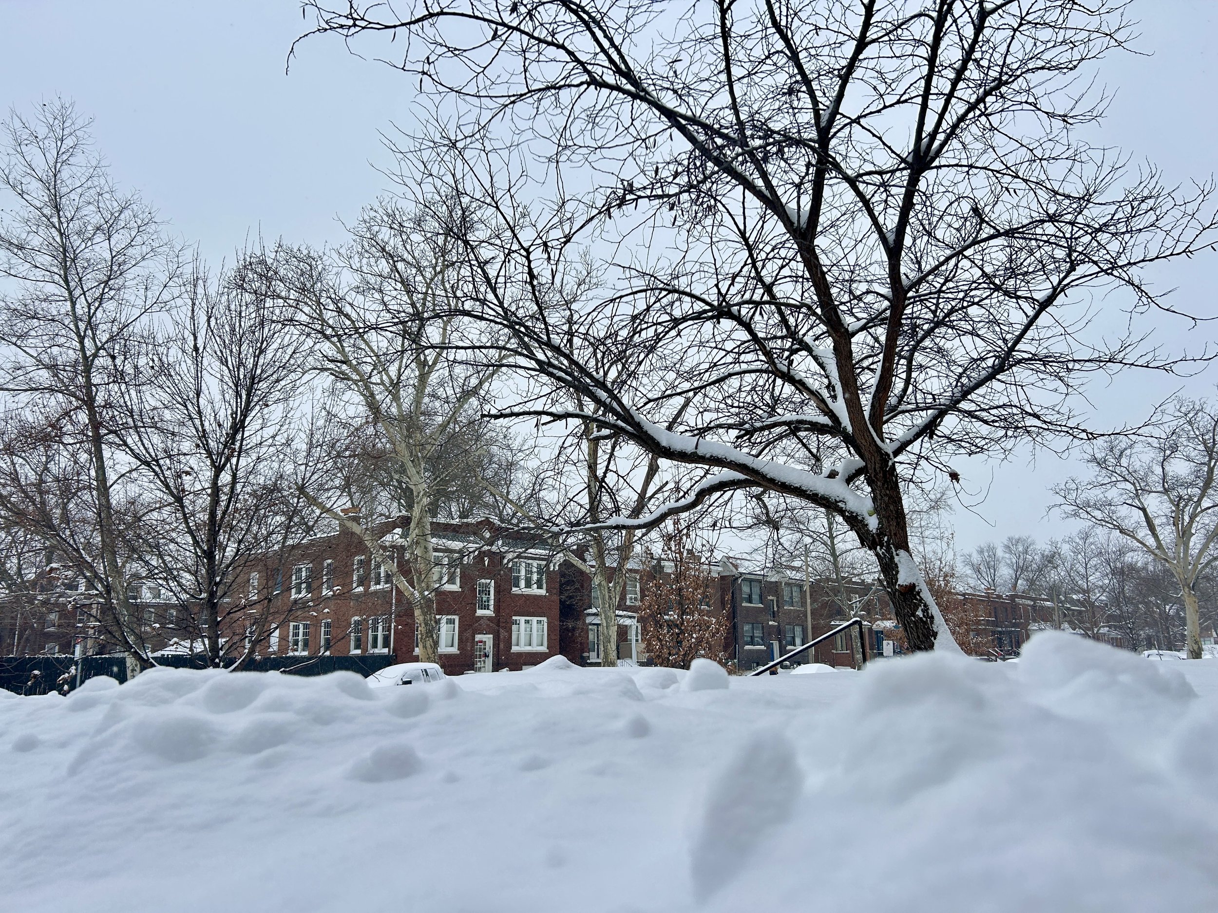 Winter Storm Fern vs. The Goose: Or, Why I Spent 52 Minutes on Hold So You Don't Have To.