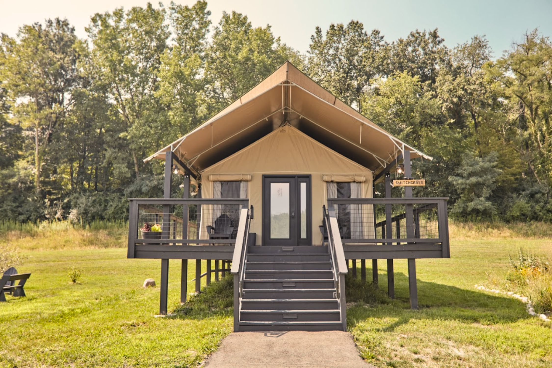 Switchgrass1.png