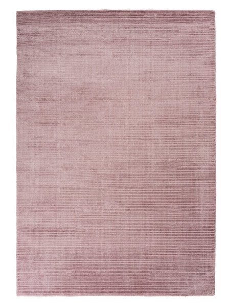 cover rose.jpg