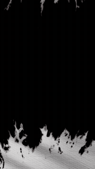 12_Bumper_9x17.gif