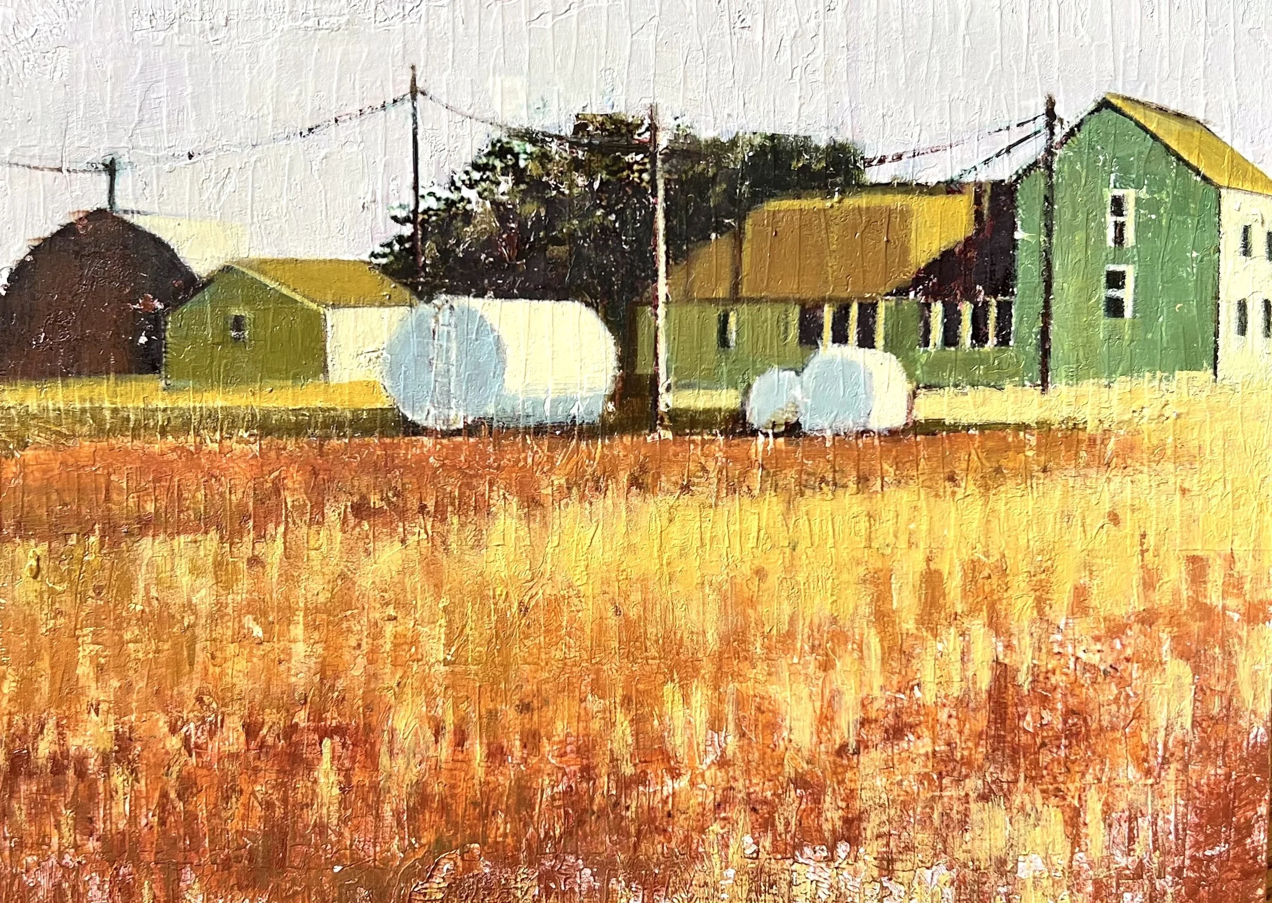 11-12-2024_A Rancher's View.jpeg