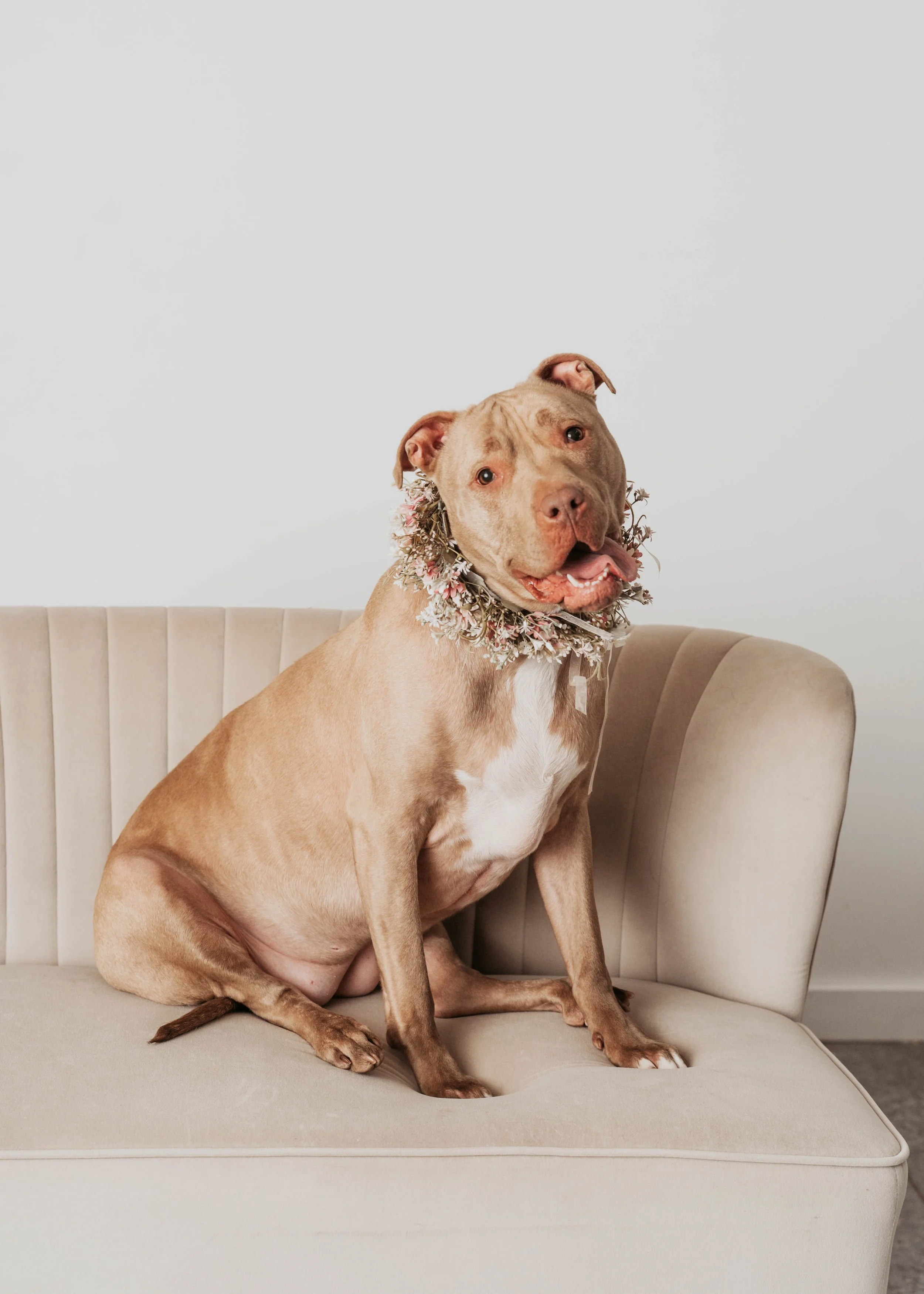 Photo credit: Mallory Kinchen Photography