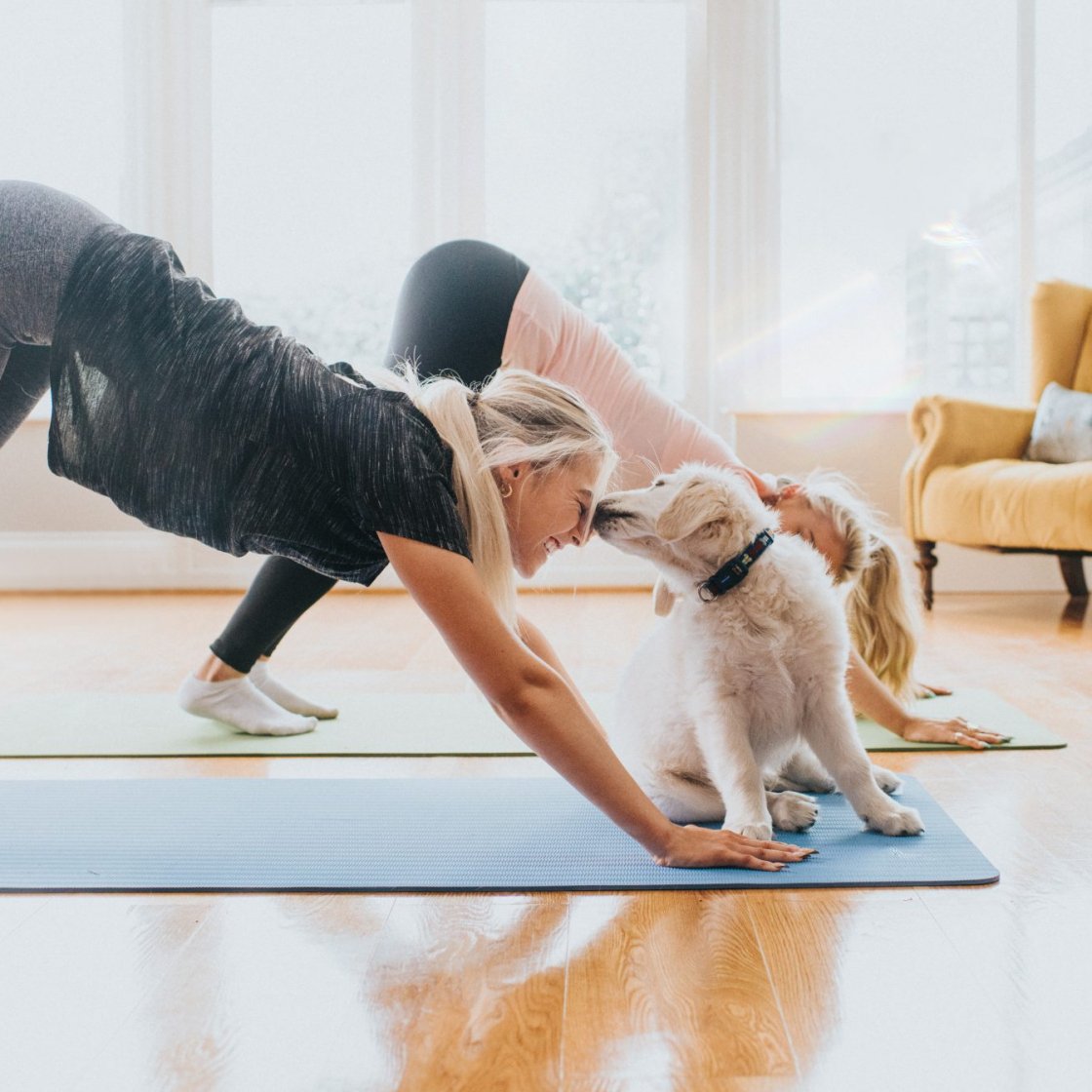 yoga.jpg