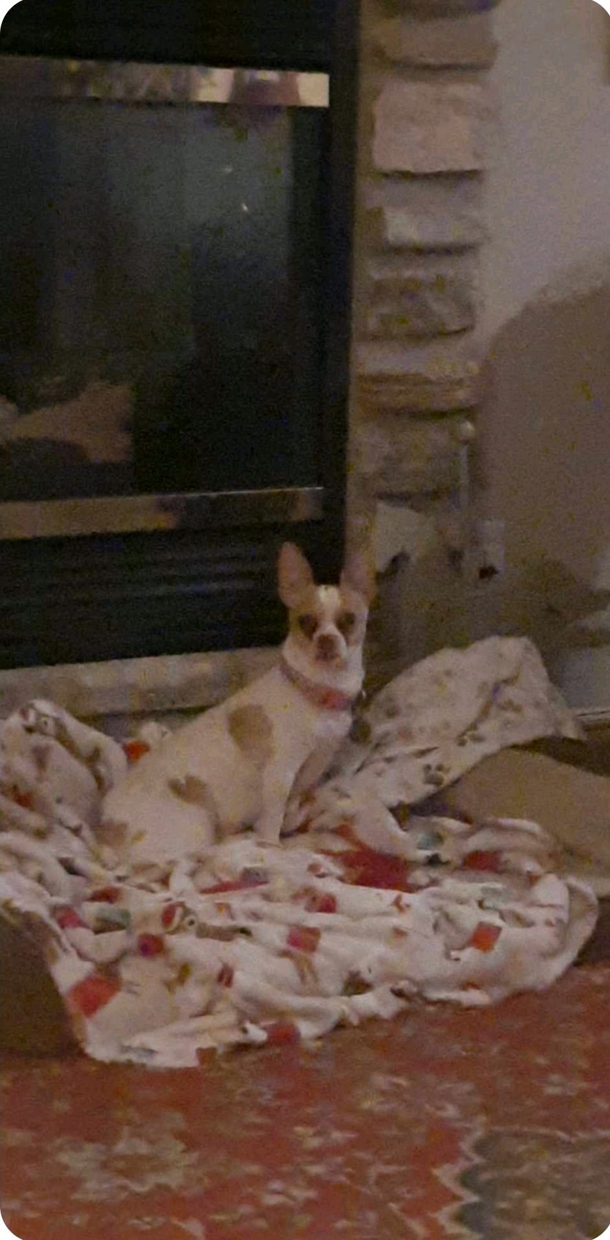 Peaches.jpg