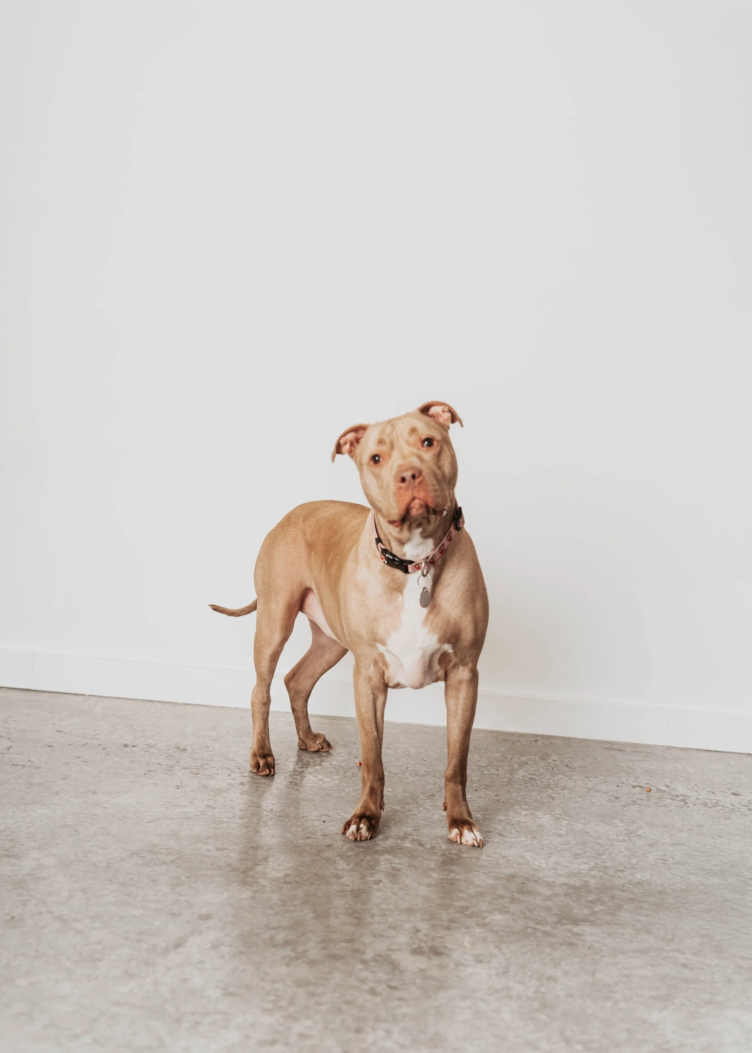 Photo credit: Mallory Kinchen Photography