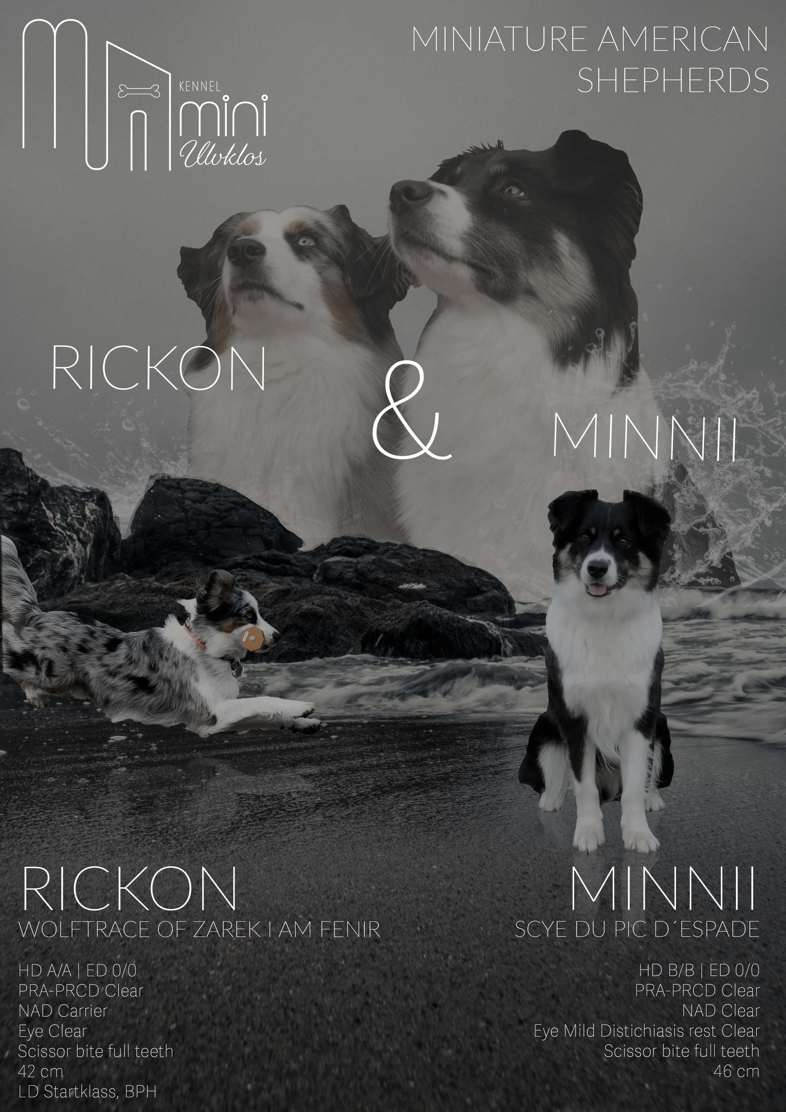 Kennel Mini Ulvklos Updated Poster.jpg