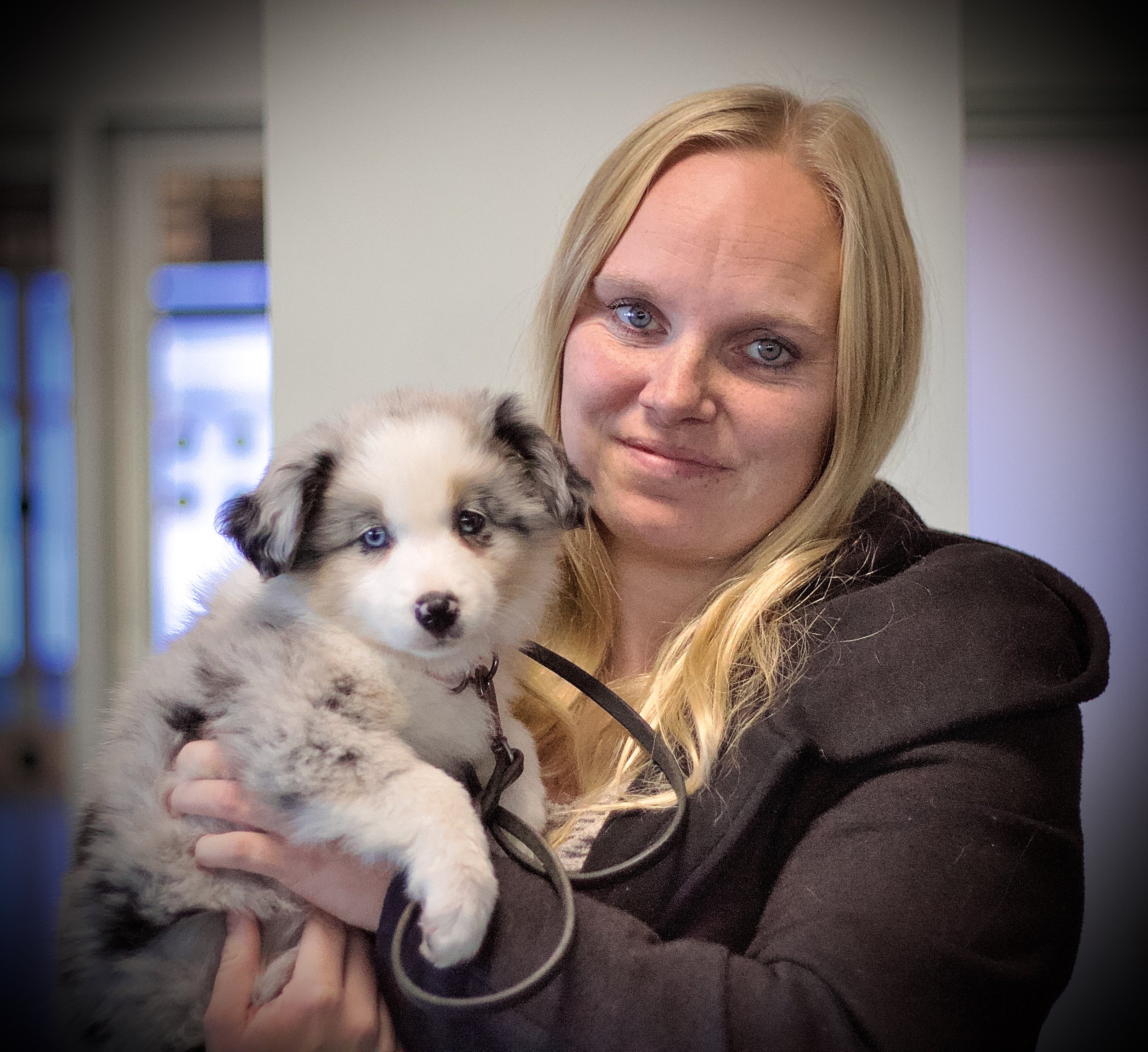 Iza bor på Gotland med Zabina och barnfamilj samt MAS-tiken Sky. Zabina och Sky tränar och tävlar agility och det ska även lilla Iza få göra. Såld med bibehållen avelsrätt.