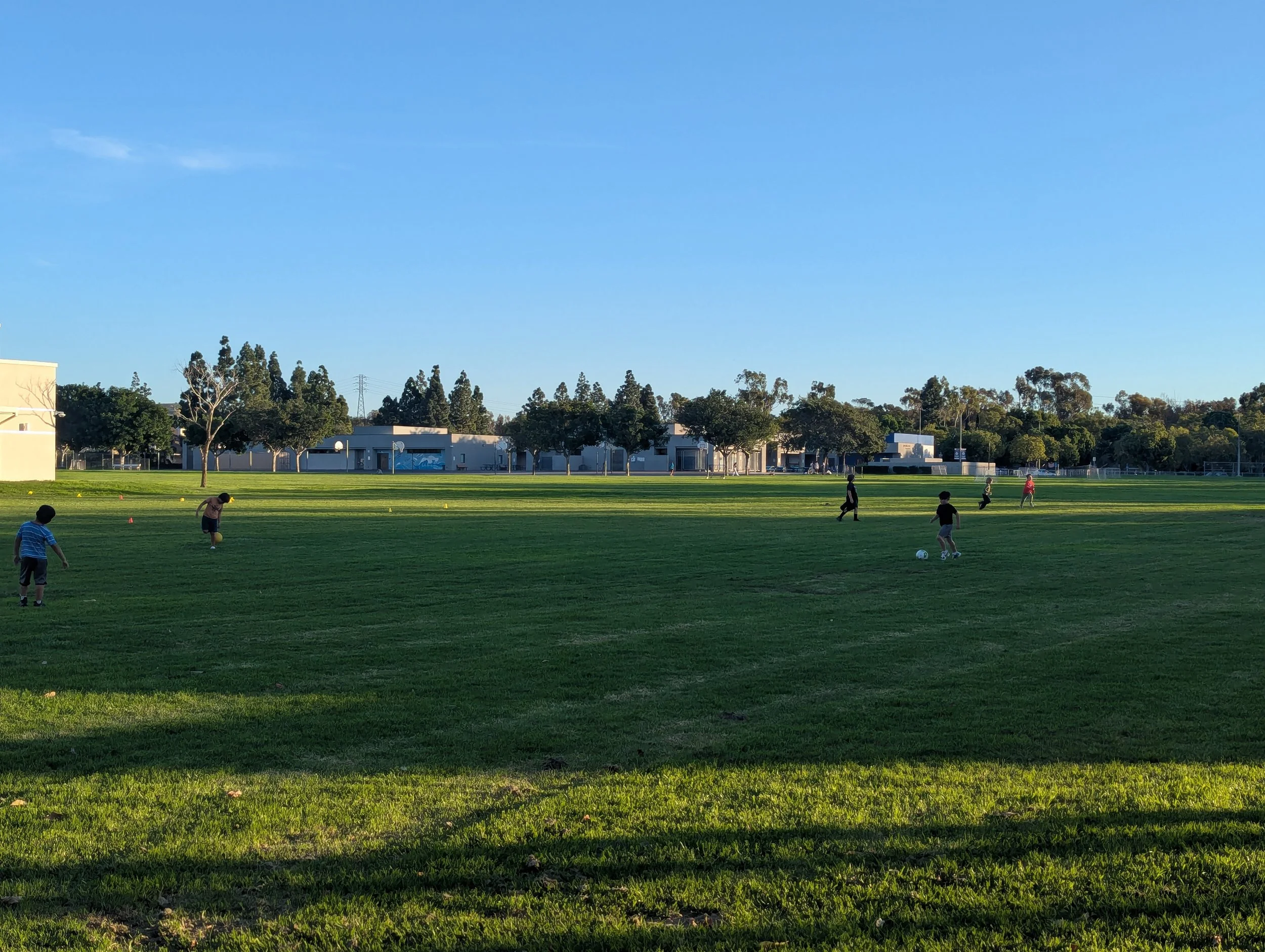 PXL_20260115_002319236.jpg