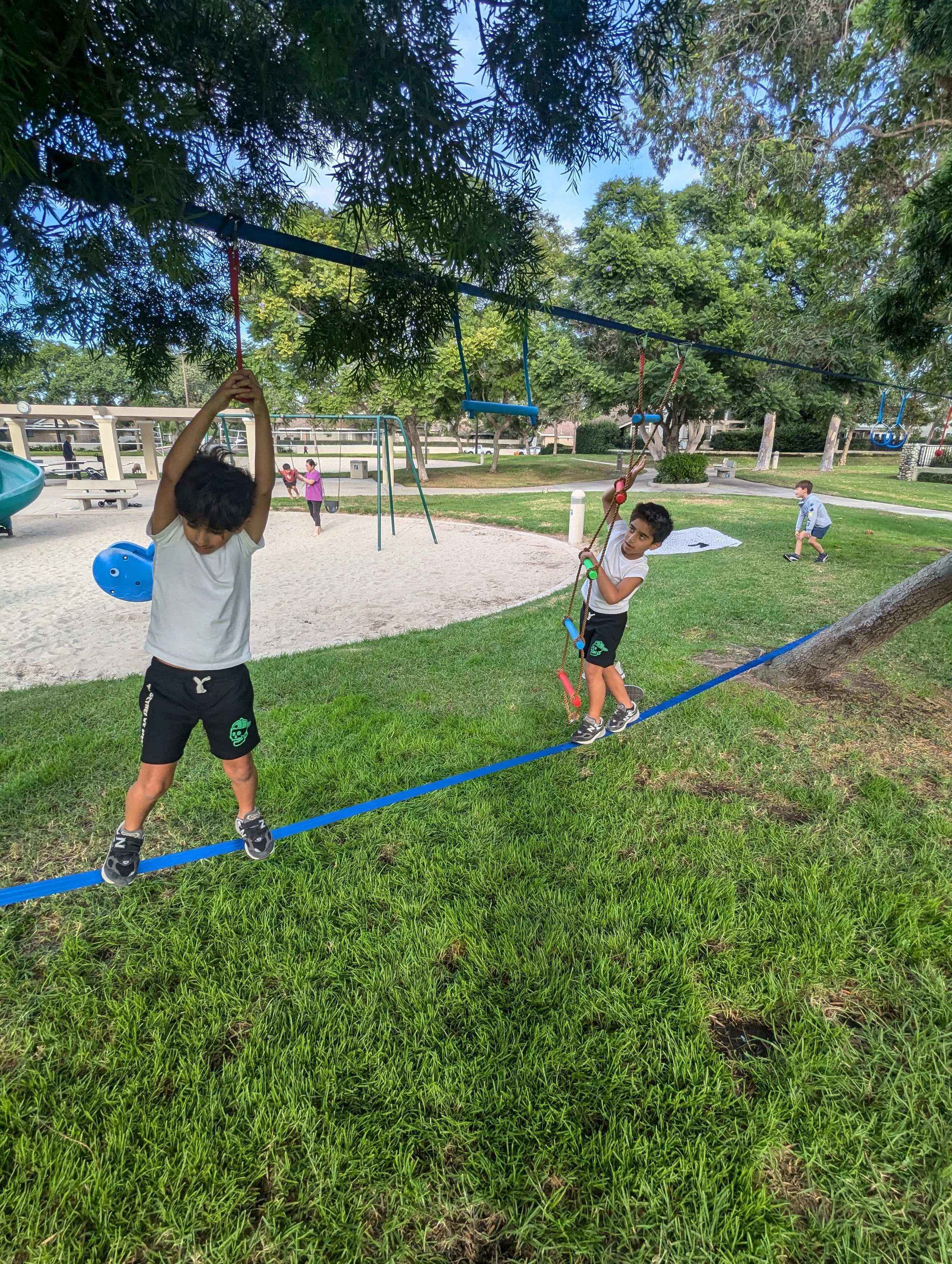 PXL_20241021_230935458 (1).jpg