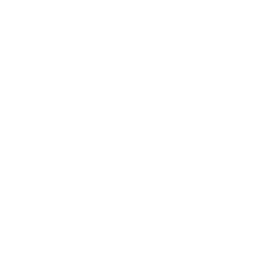 A Sister&#39;s Village Inc