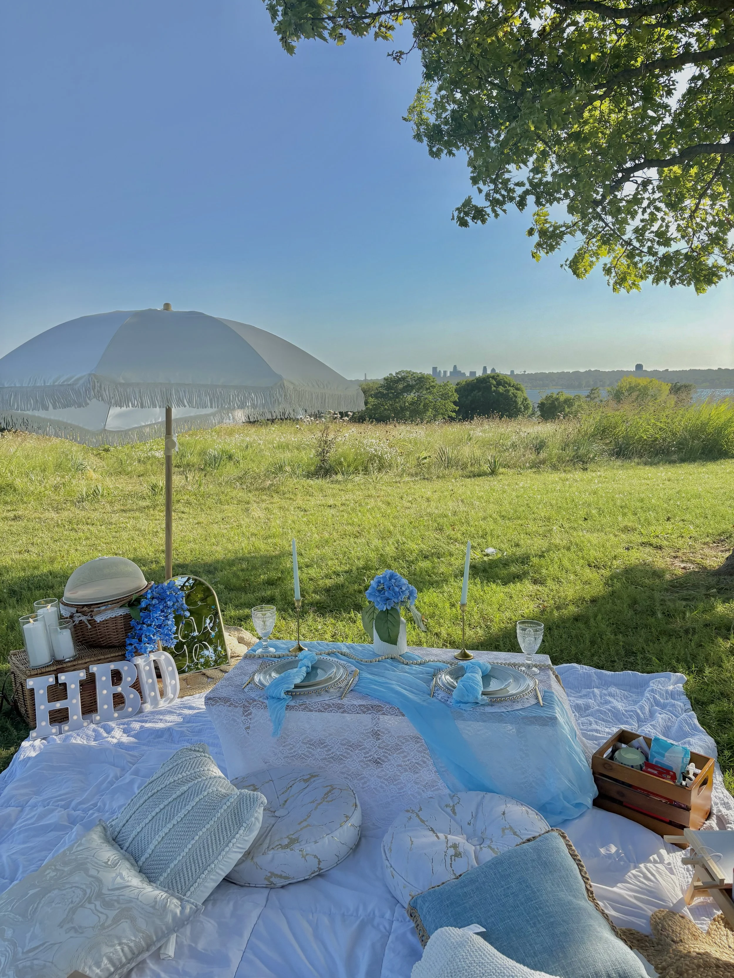 Styled picnic setup in Dallas