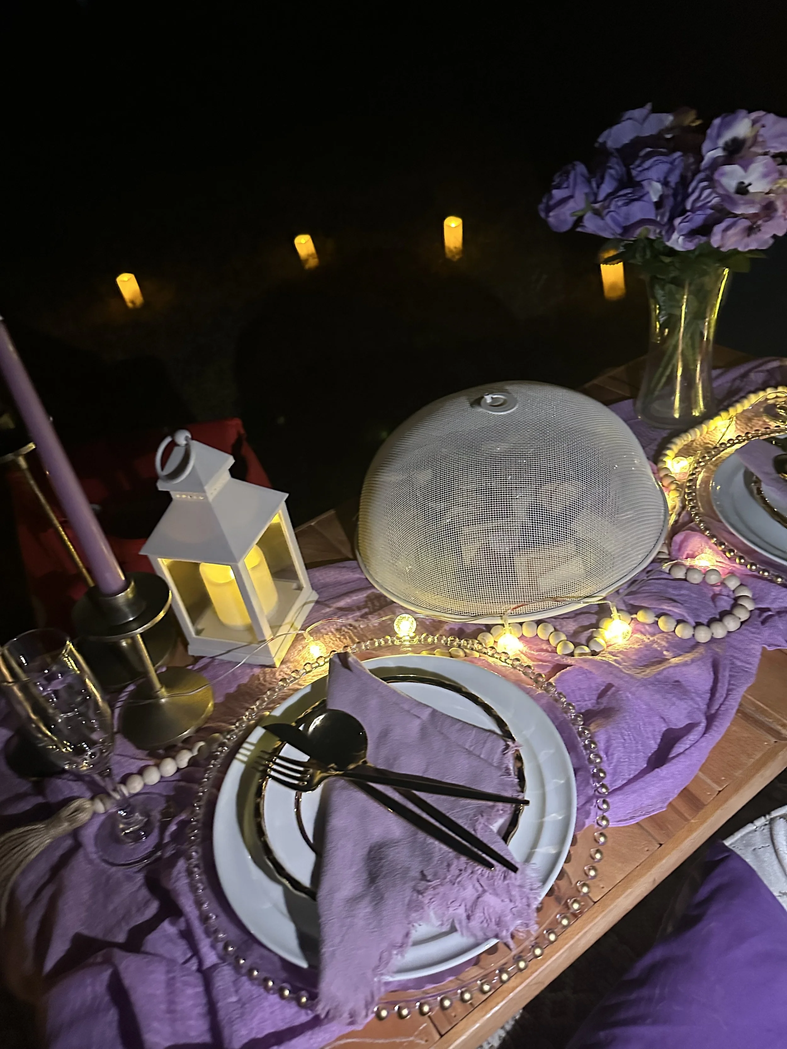 birthday-picnic-setup-dallas