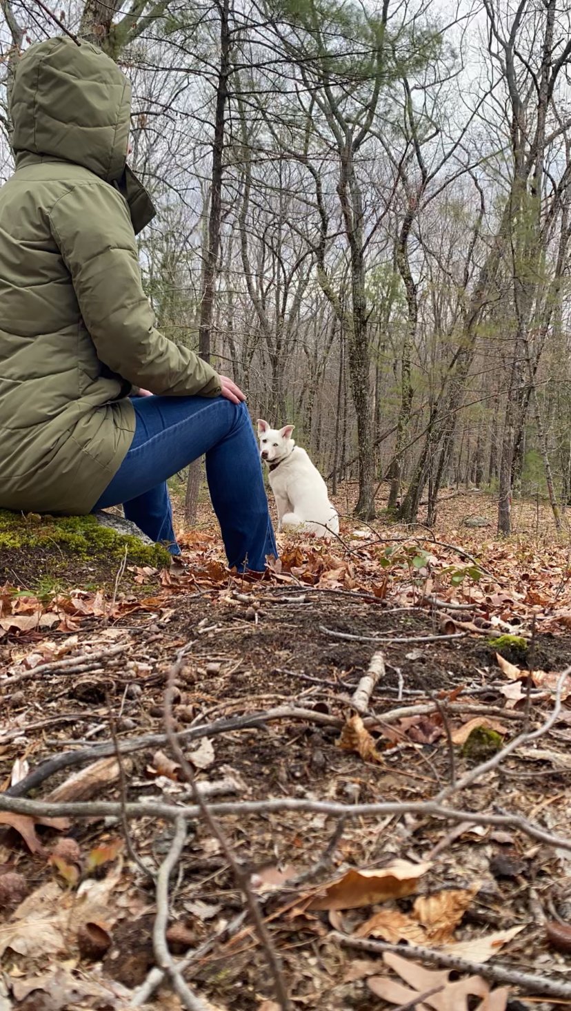 The Woods Taught Me to Meditate