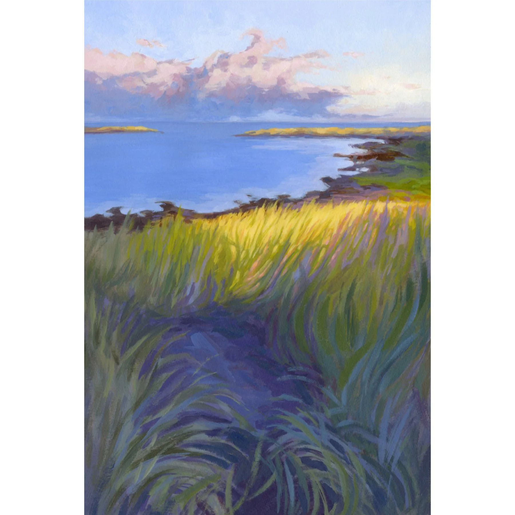 2025_sg-orig_toward-breakwater01.jpg