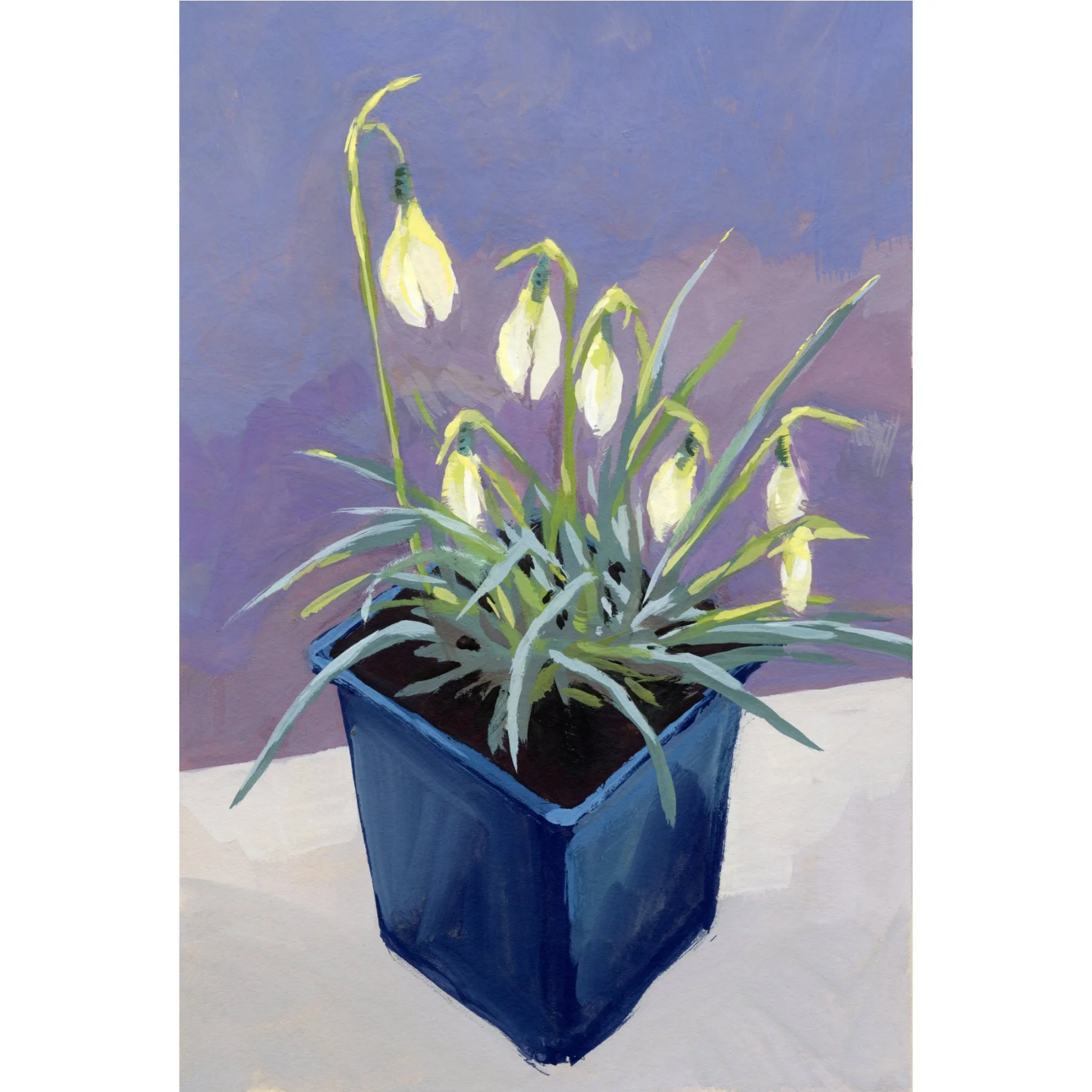 2024_studies_snowdrops01.jpg
