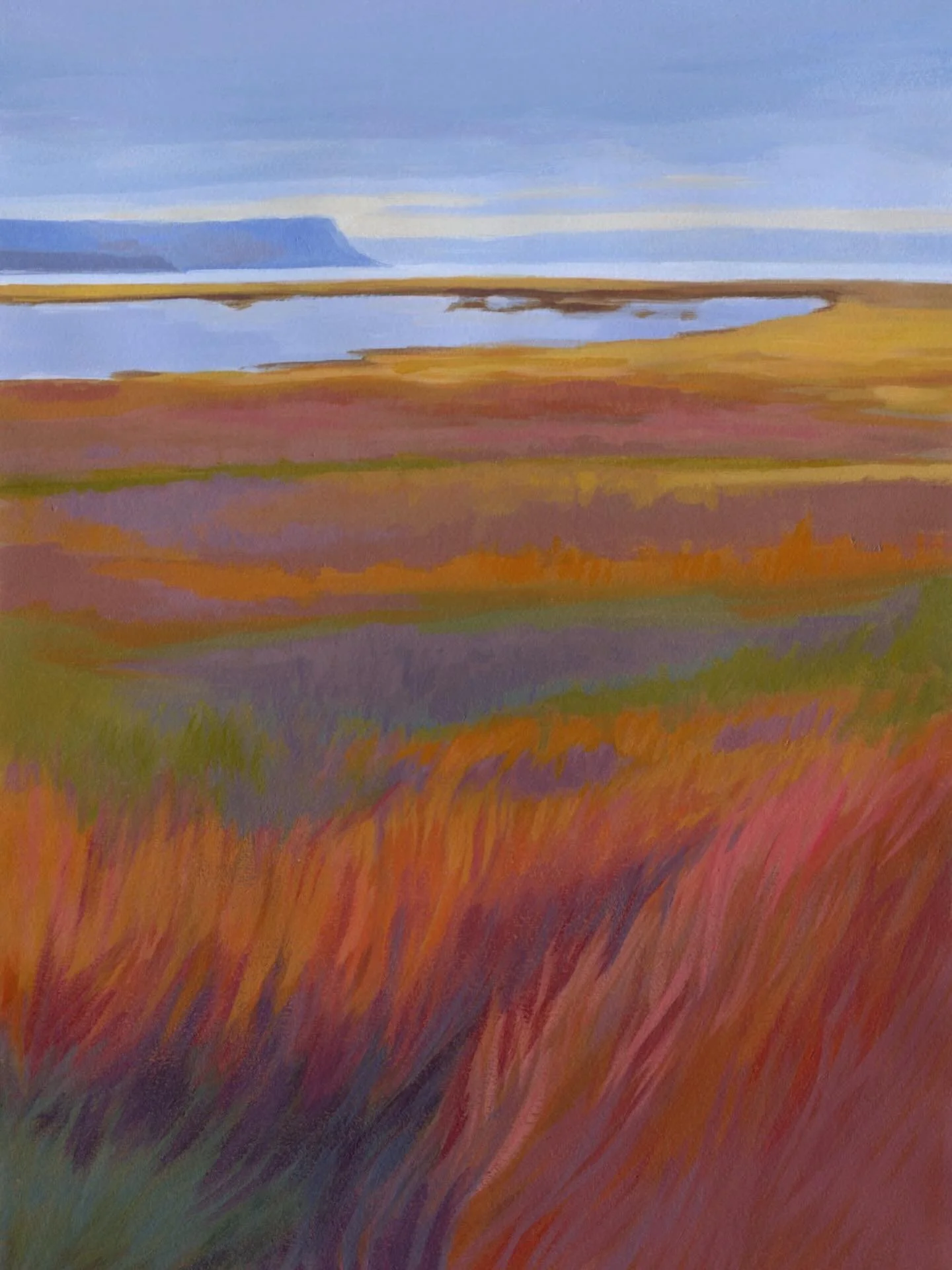 One of my favourite places to walk in Nova Scotia are the dykes in Wolfville. They look out over tidal waters that change dramatically between visits. At low tide, it appears like mud flats, with just small bands of water left. Other times, the water