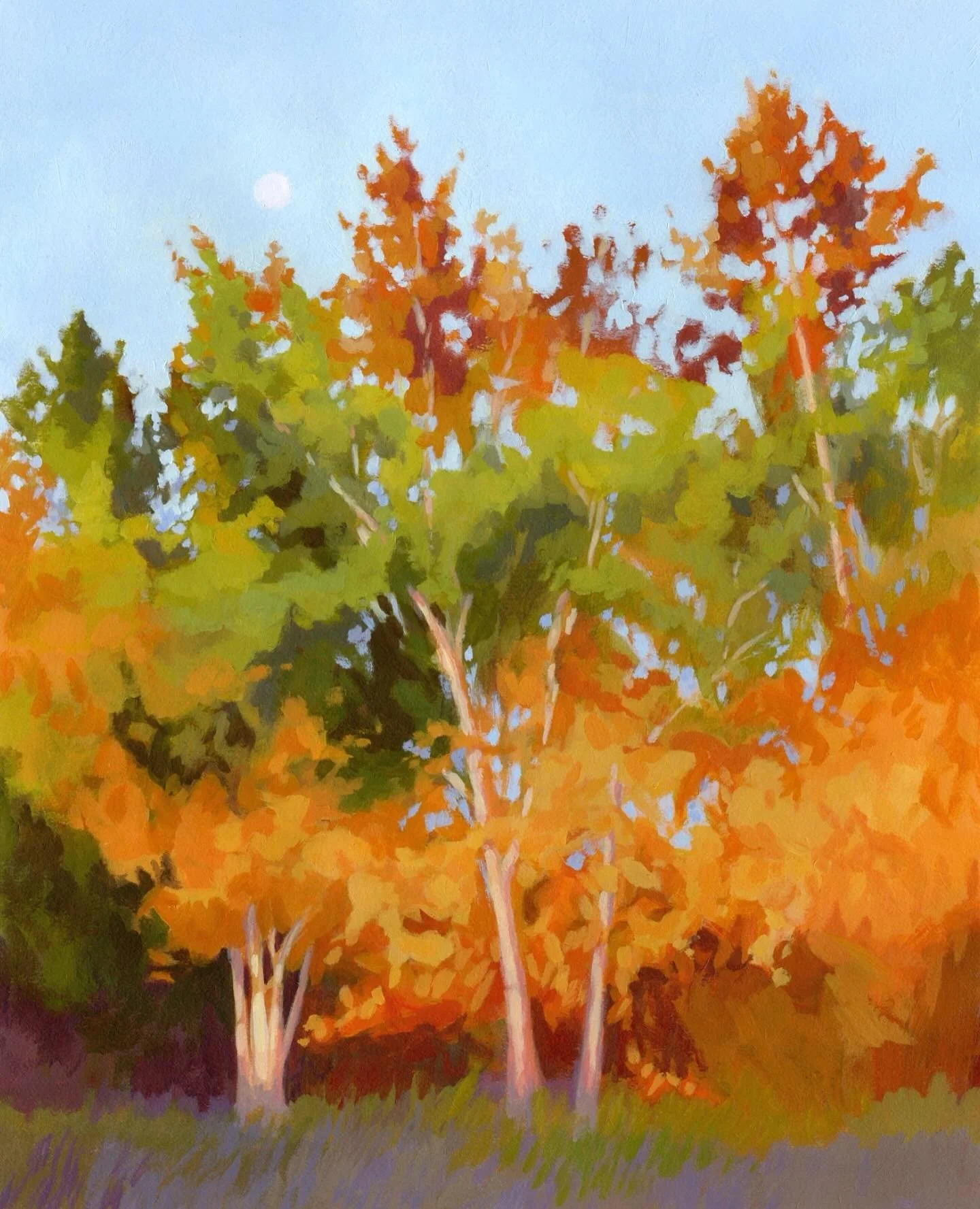 These birch trees ran along our farm field in the Annapolis Valley. Here, they are catching the morning sunlight in the fall. Magnificent. I used to live writing my morning journal pages while looking out at this view 💛

This painting is part of my 