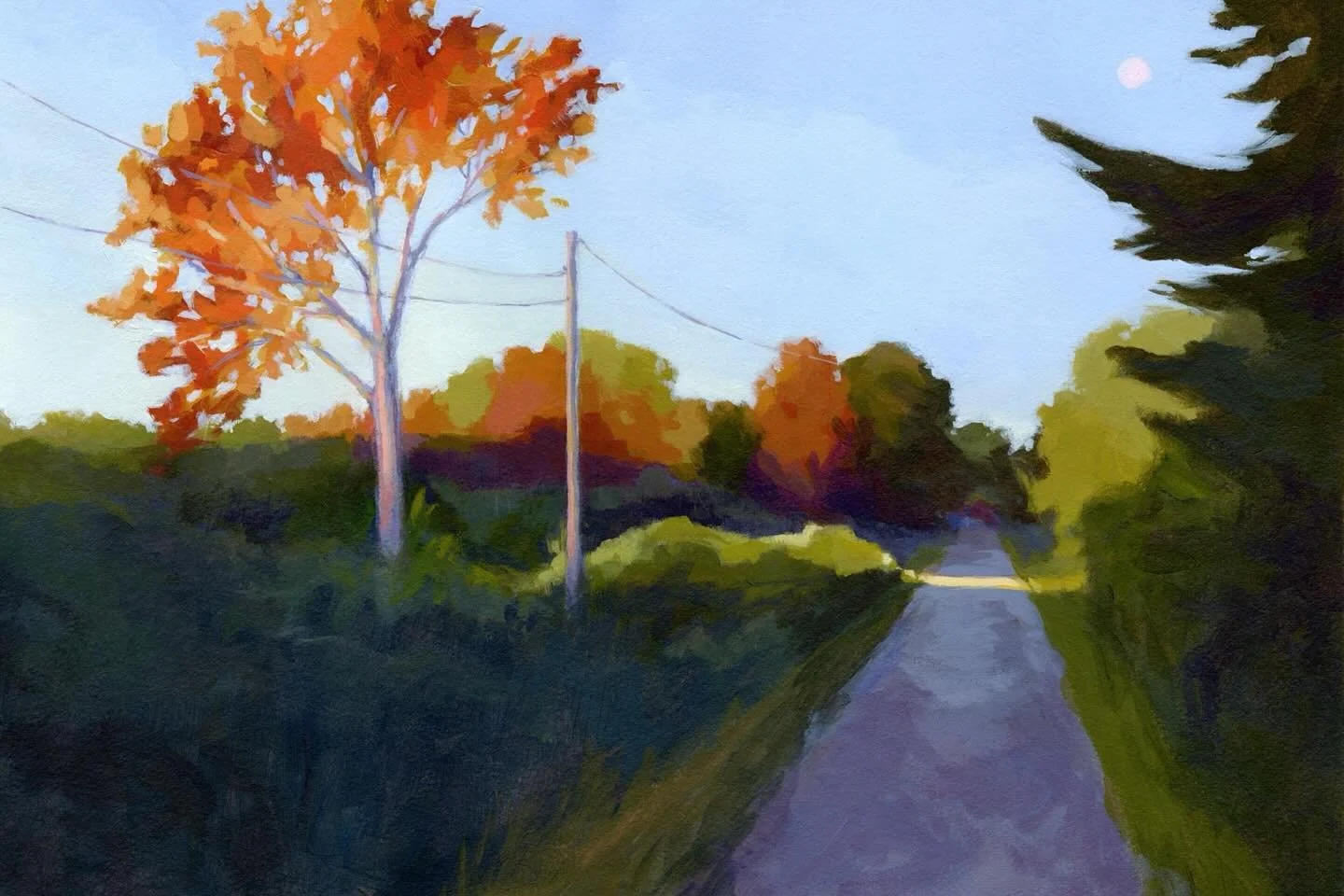 One afternoon last fall, when I was out for a walk on the country road where I live, I noticed this gorgeous band of sunlight. It made the orange fall treet look illuminated from within, went across the road, and lit some greenery on the other side. 
