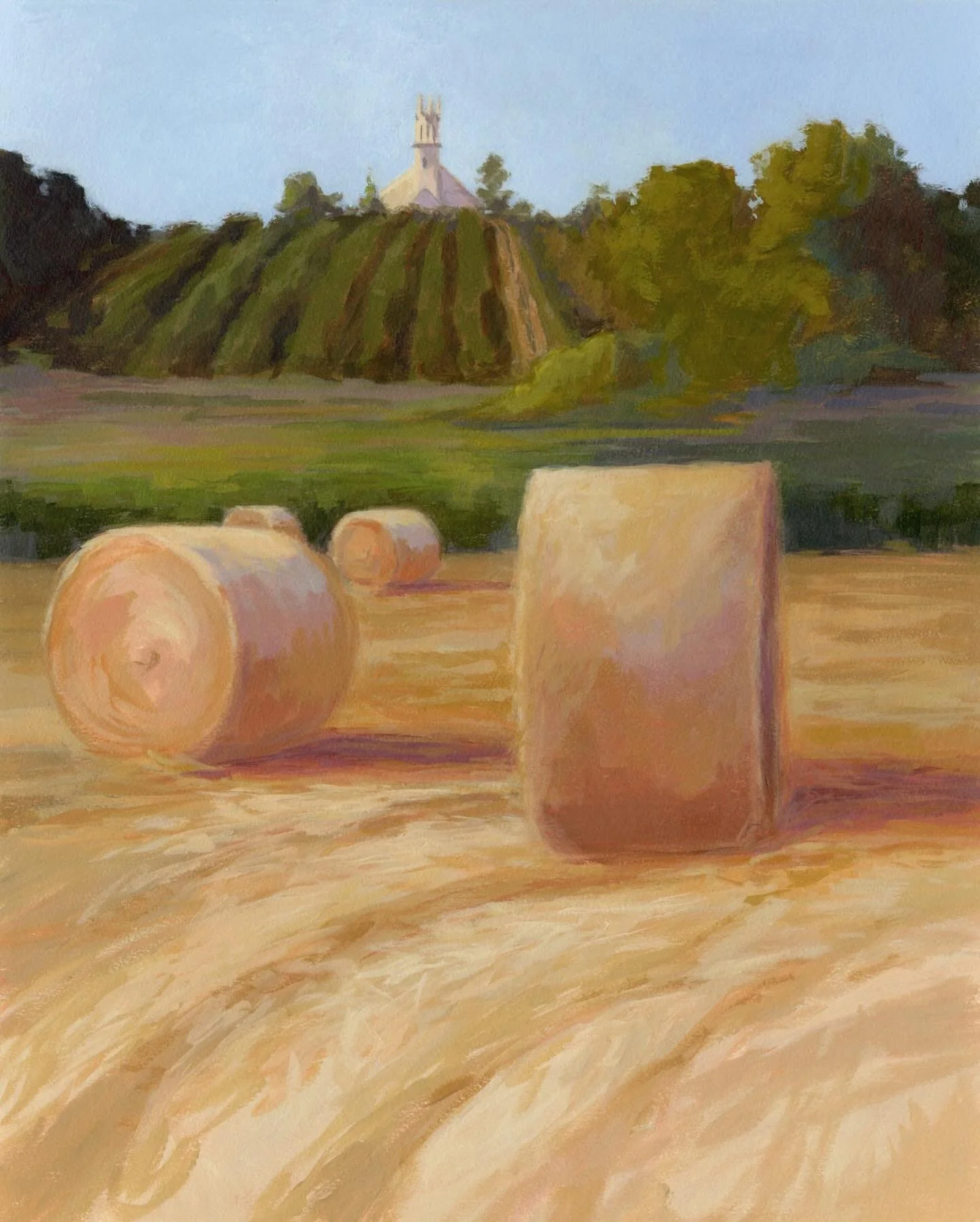 We drove by these hay bales on a mid-summer road trip around Nova Scotia. I loved the ploughed field, bales, vineyard (or apple trees) marching up the hillside, and the old church sitting stately at the top. A classic Annapolis Valley scene. 🌾
Hay