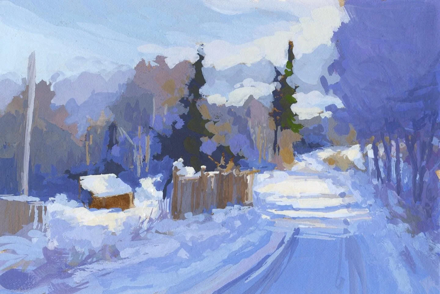 Cool winter sunlight shone across this country road near my house and captivated me for a few moments&hellip; 💙❄️

Swipe through to see other studies in this series: the barn near my old home in the Annapolis Valley as the late afternoon sun lit the