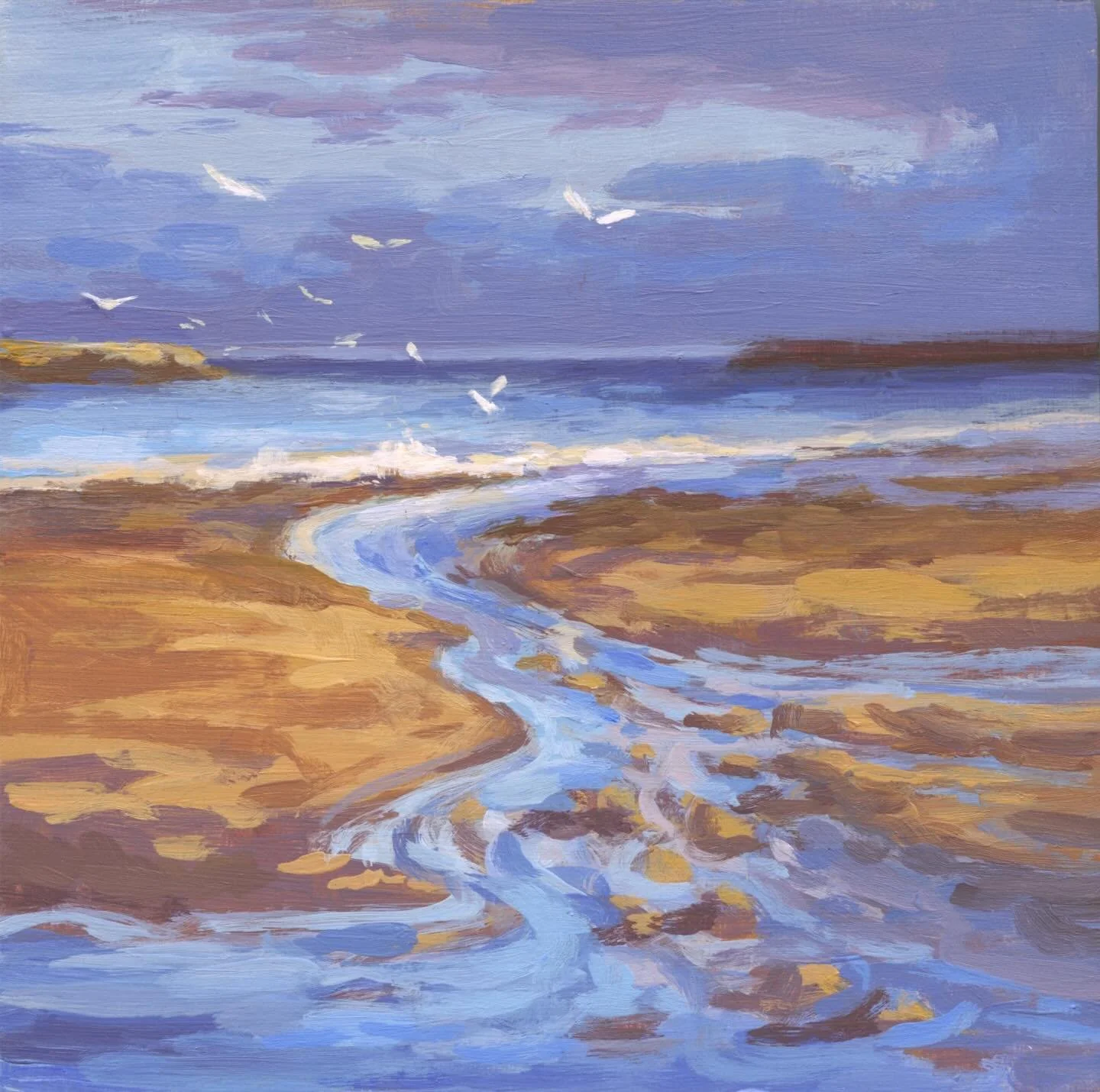 The marsh at Broad Cove beach trundles through a stony brook and drains into the ocean. It can be quite beautiful passing over the sandy beach in rivulets that meet the incoming ocean waves, with coastal birds overhead. 💙

Coastal Birds
6x6&rdquo; a