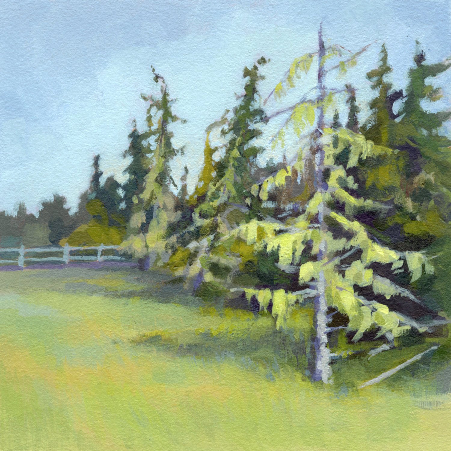 2025_mc_orig_tree-mosses01.jpg