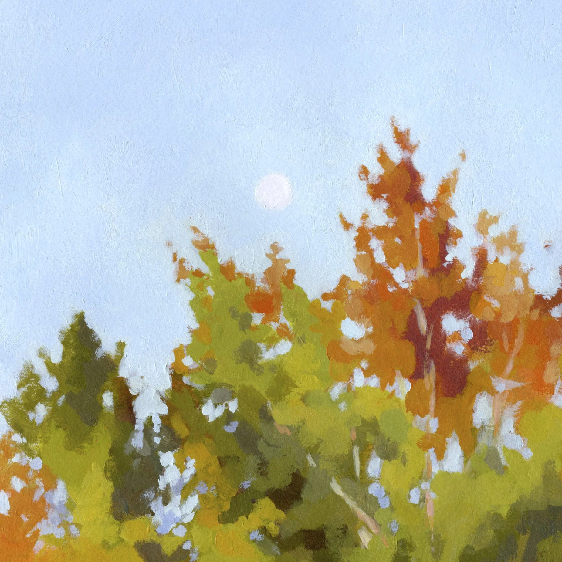 2025_sg-orig_morning-birches02.jpg