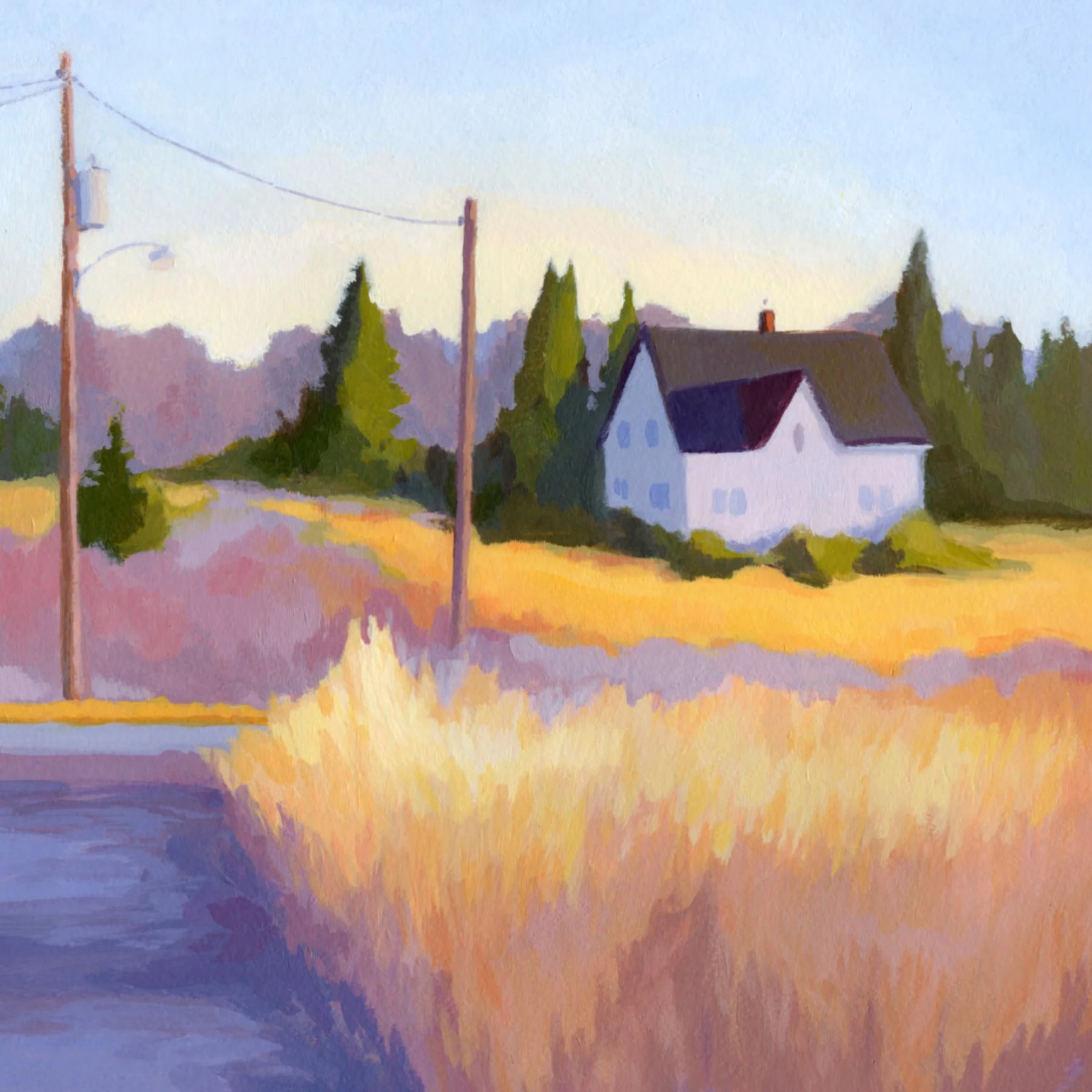 2025_sg-orig_golden-fields02.jpg