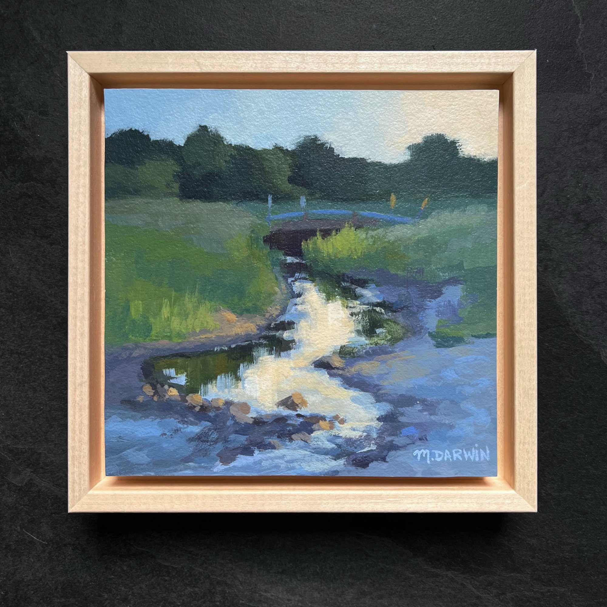 2025_mc_orig_brook-reflections03.jpg