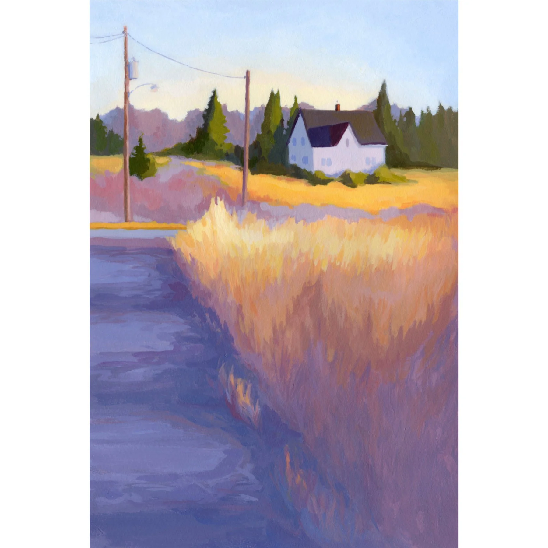 2025_sg-orig_golden-fields01.jpg