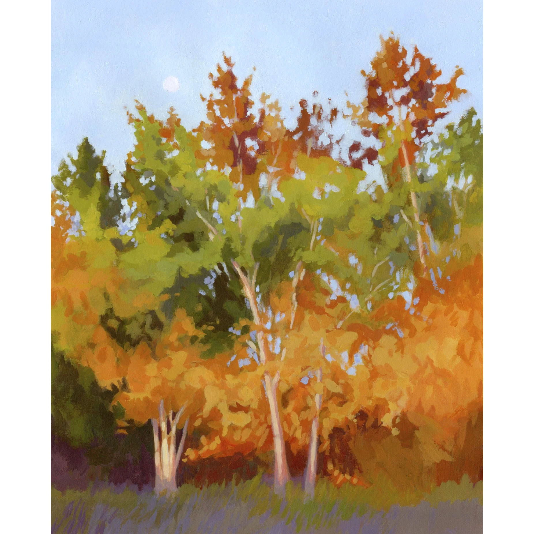 2025_sg-orig_morning-birches01.jpg