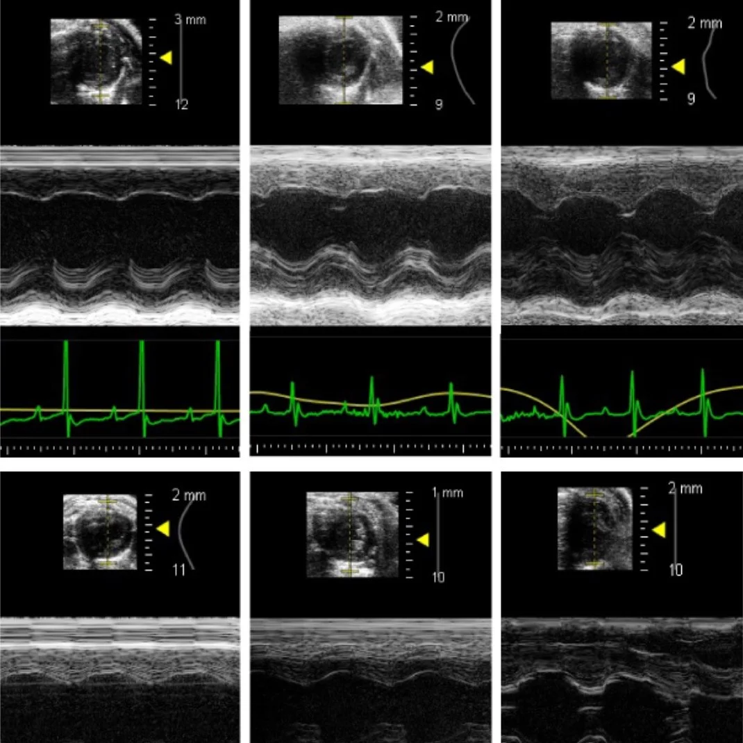 Screenshot 2024-03-15 at 1.31.55 AM.jpg