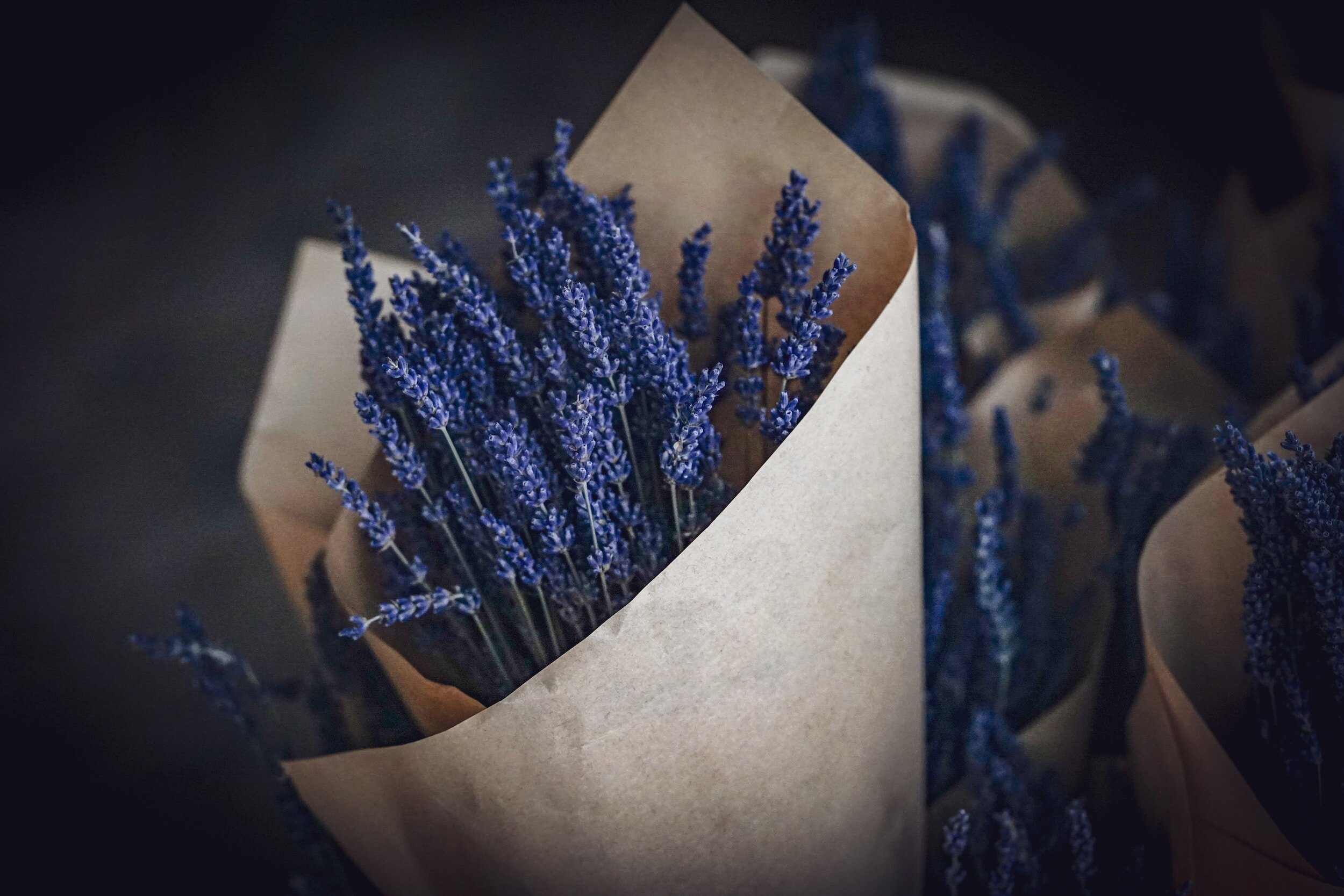 Lavender & Lemon Balm Sleepy Tea