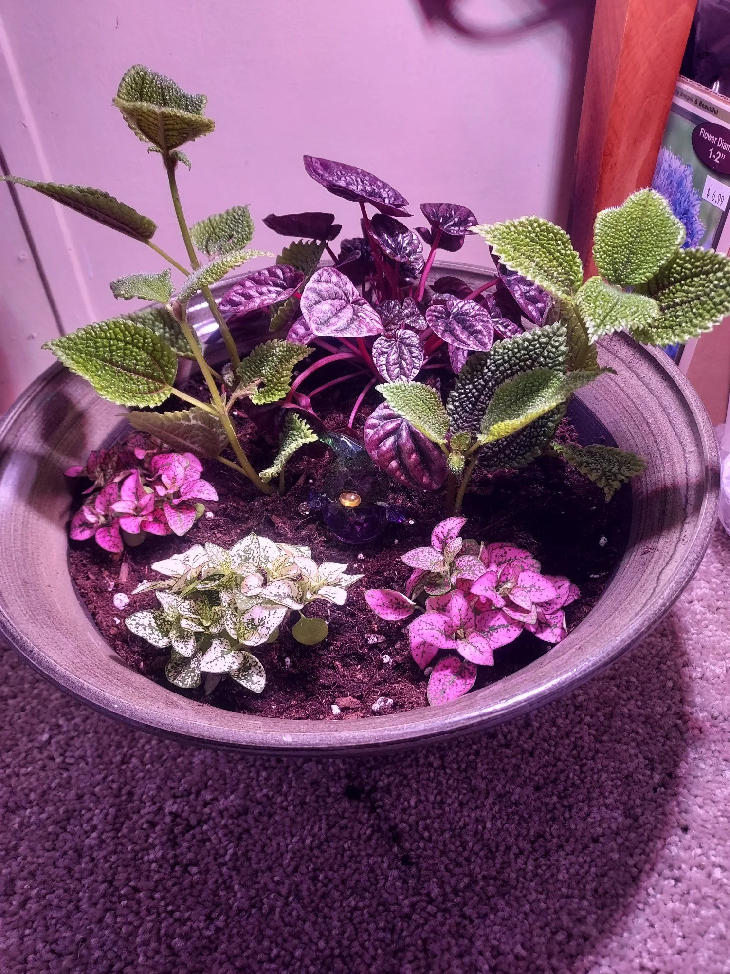 Oranssi project: passive house