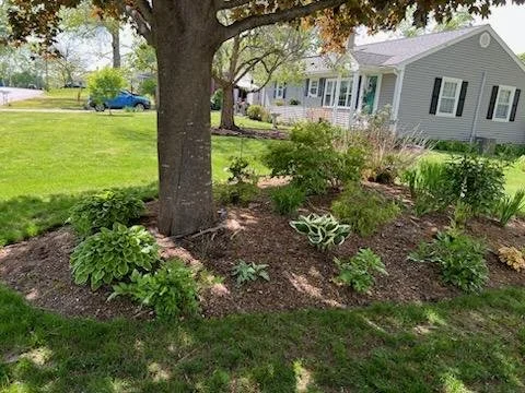 Oranssi project: wraparound deck