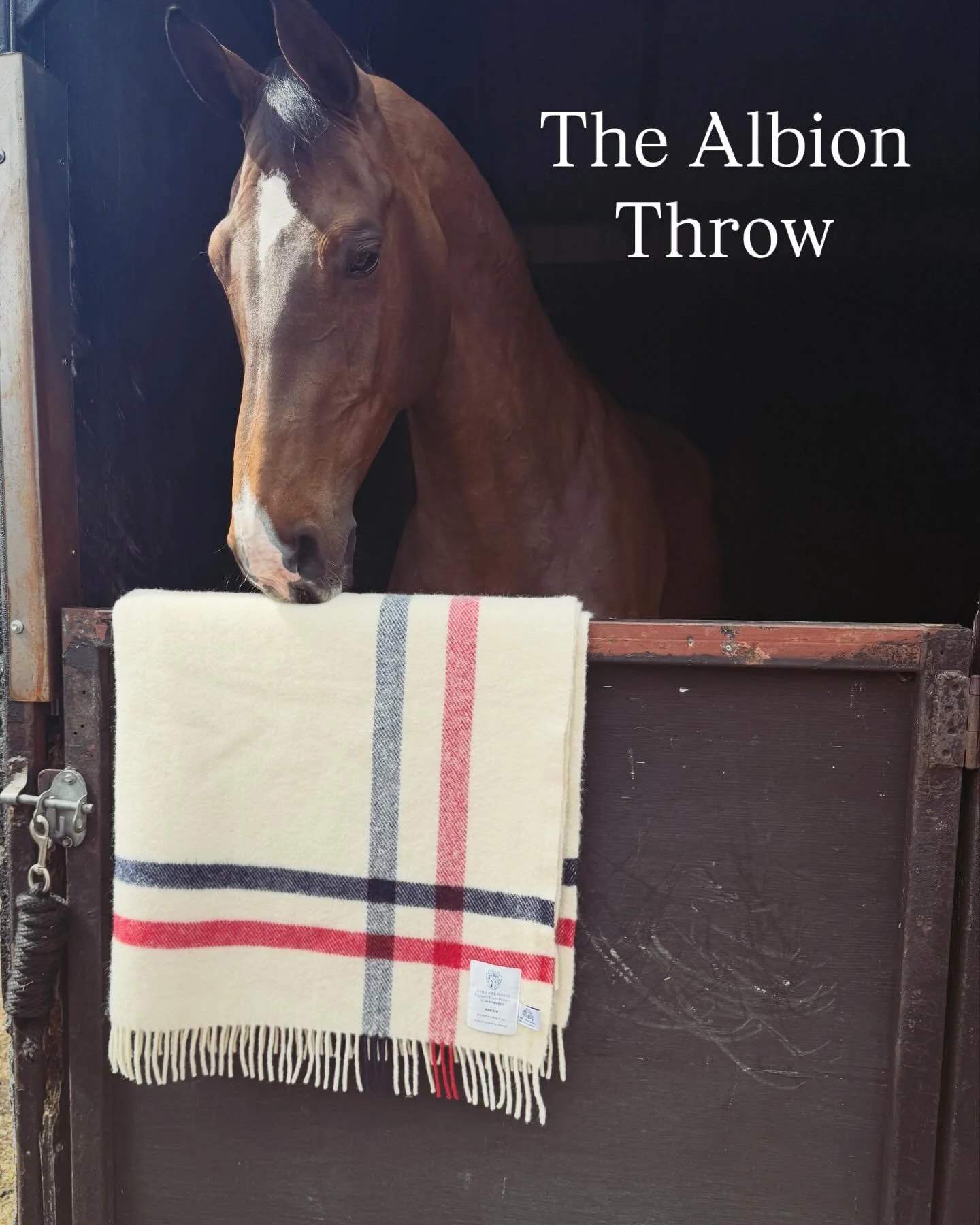 We took our Albion away for the weekend and here it is, with the best model there is,we love this one 🐎
The beauty of the Albion is its versatility&mdash;it is just as at home on the back of a sofa as it is in the stable. 
Woven from pure new wool, 