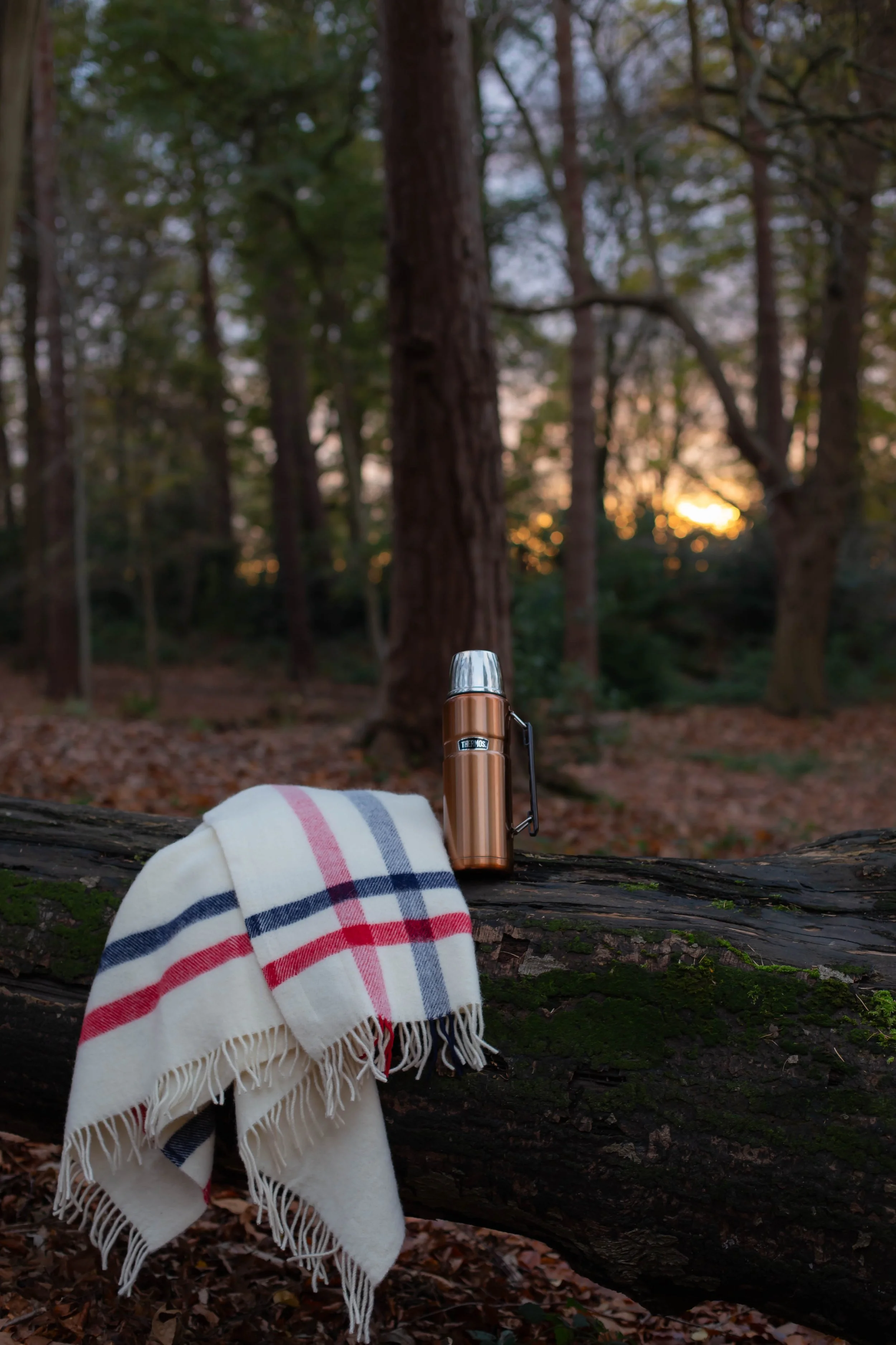 The Albion: A Pure New Wool blanket woven in West Yorkshire. The perfect heavy- weight wool throw for outdoor living. John Atkinson, Royal Warrant Holders, crafted in a Mill  in Yorkshire. England's Finest Blankets.  