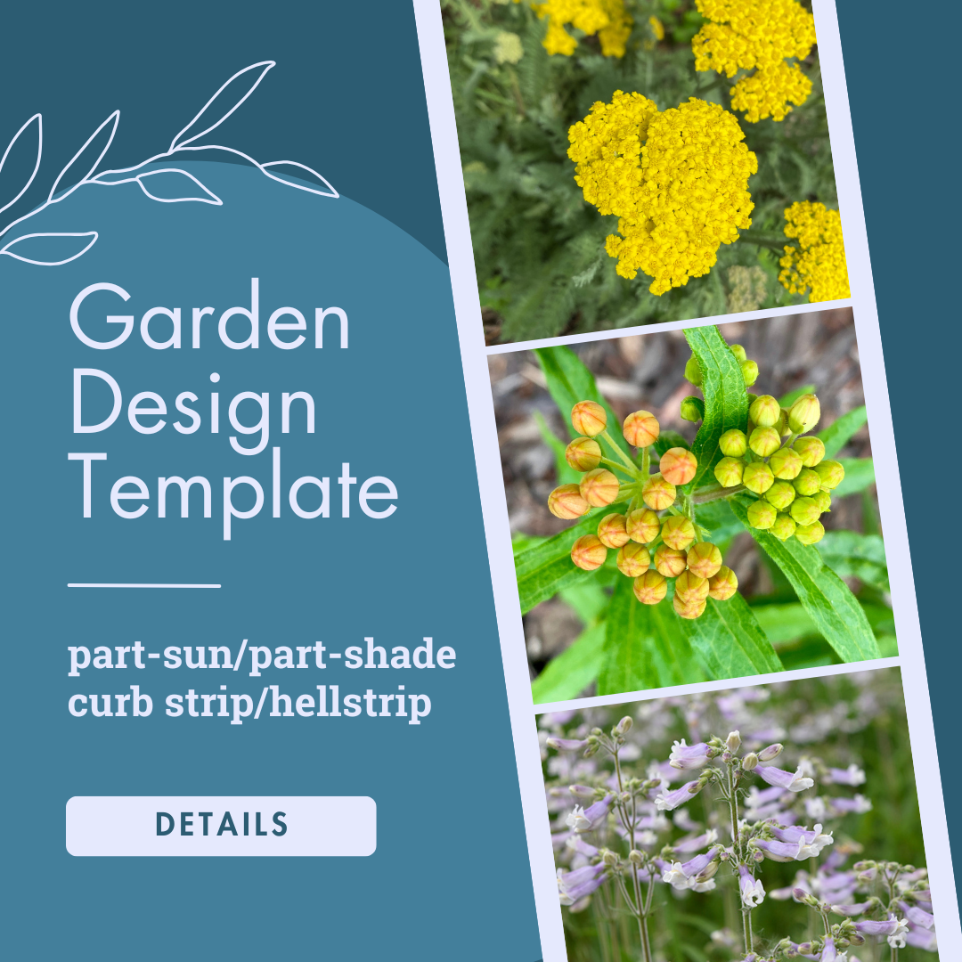 Garden Design Template: Part-Sun/Part-Shade Curb Strip