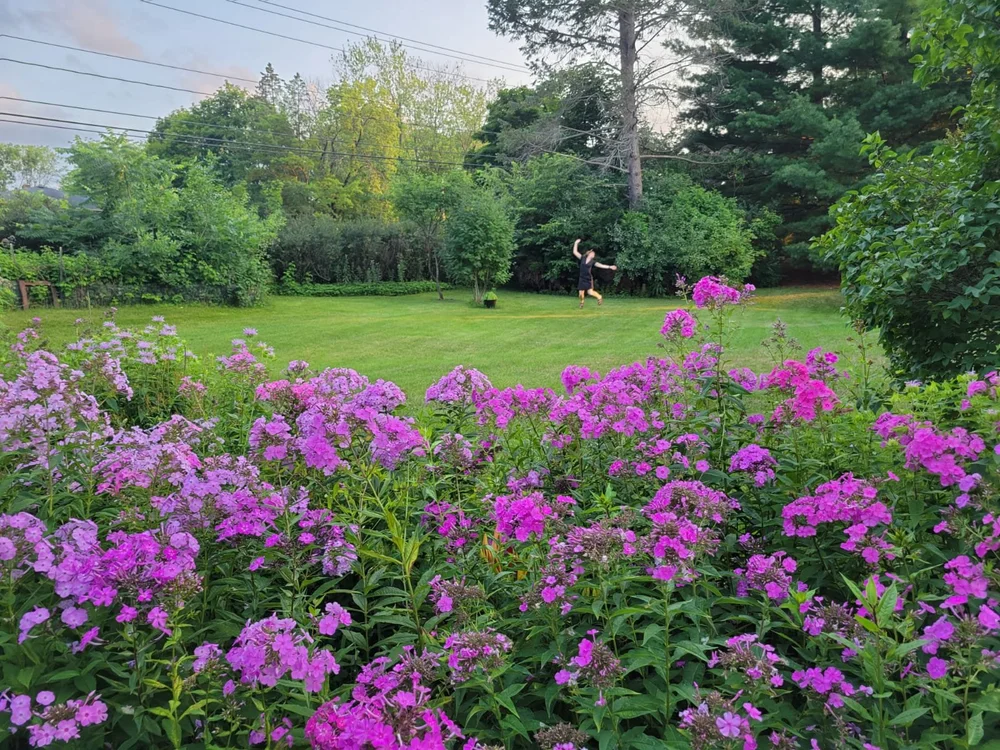  Me, jumping for joy behind the garden phlox. This gives you a good idea of the scale of the back yard 