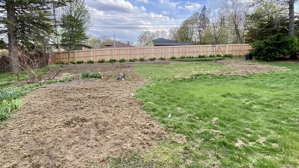  A few days of rototilling progress. 