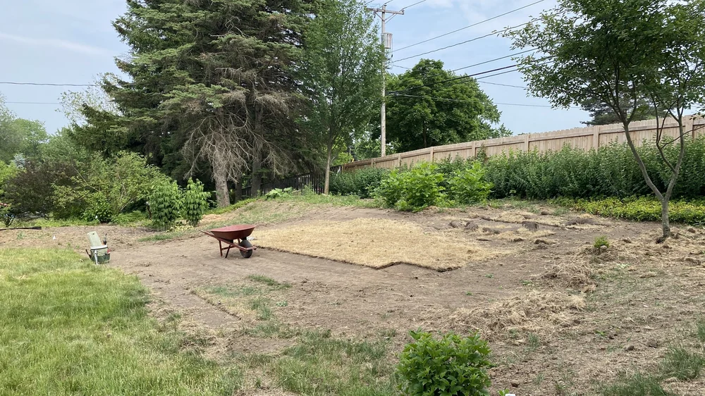  Big leaps forward thanks to my husband’s work with a sod cutter. 