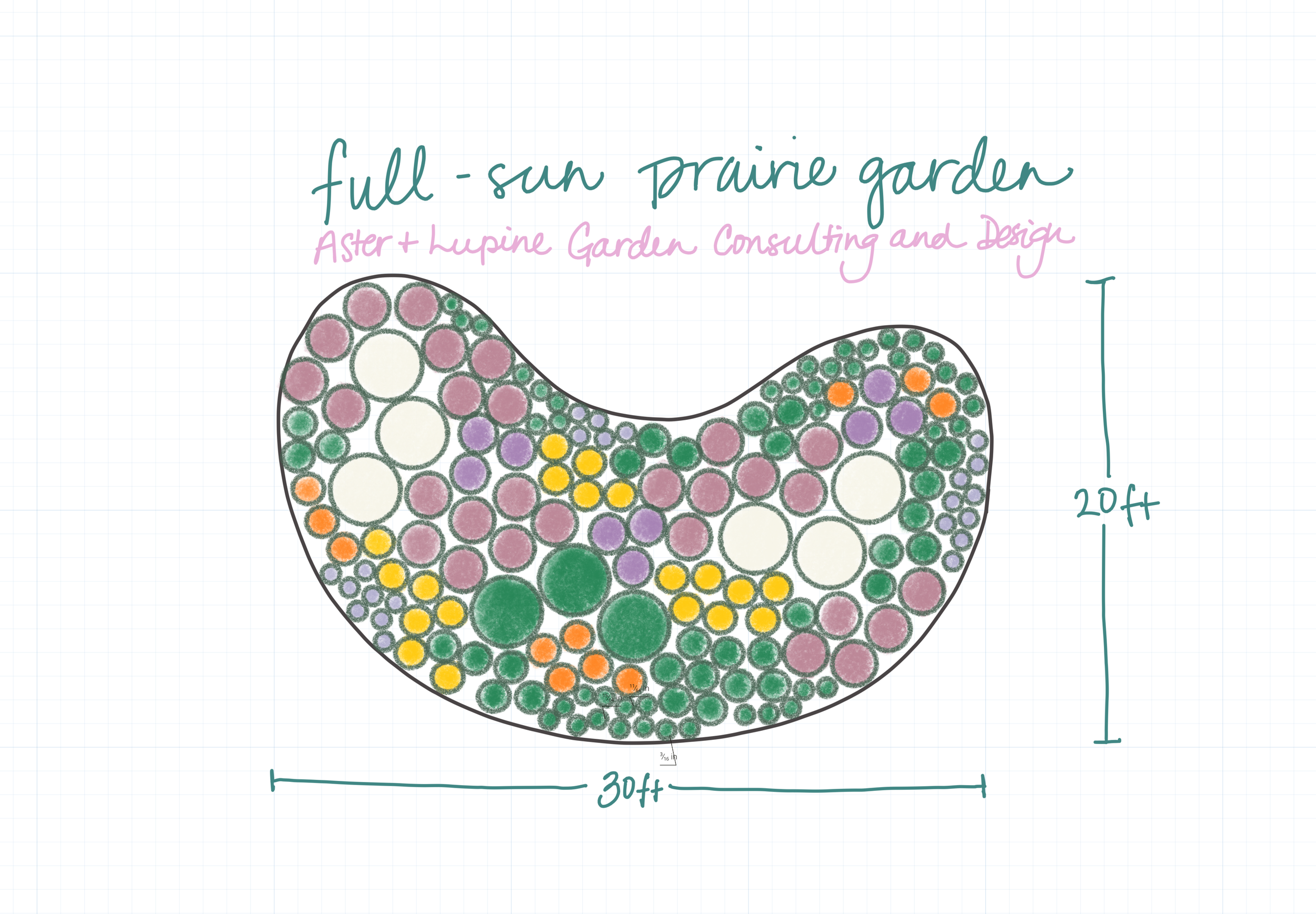 full sun front yard prairie garden color.png