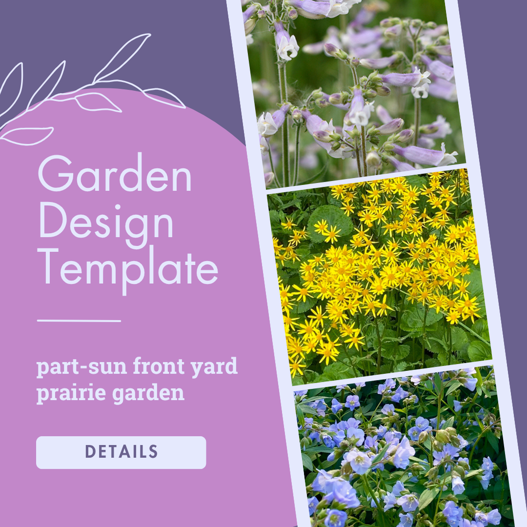Part-Sun Front Yard-Friendly Prairie Garden